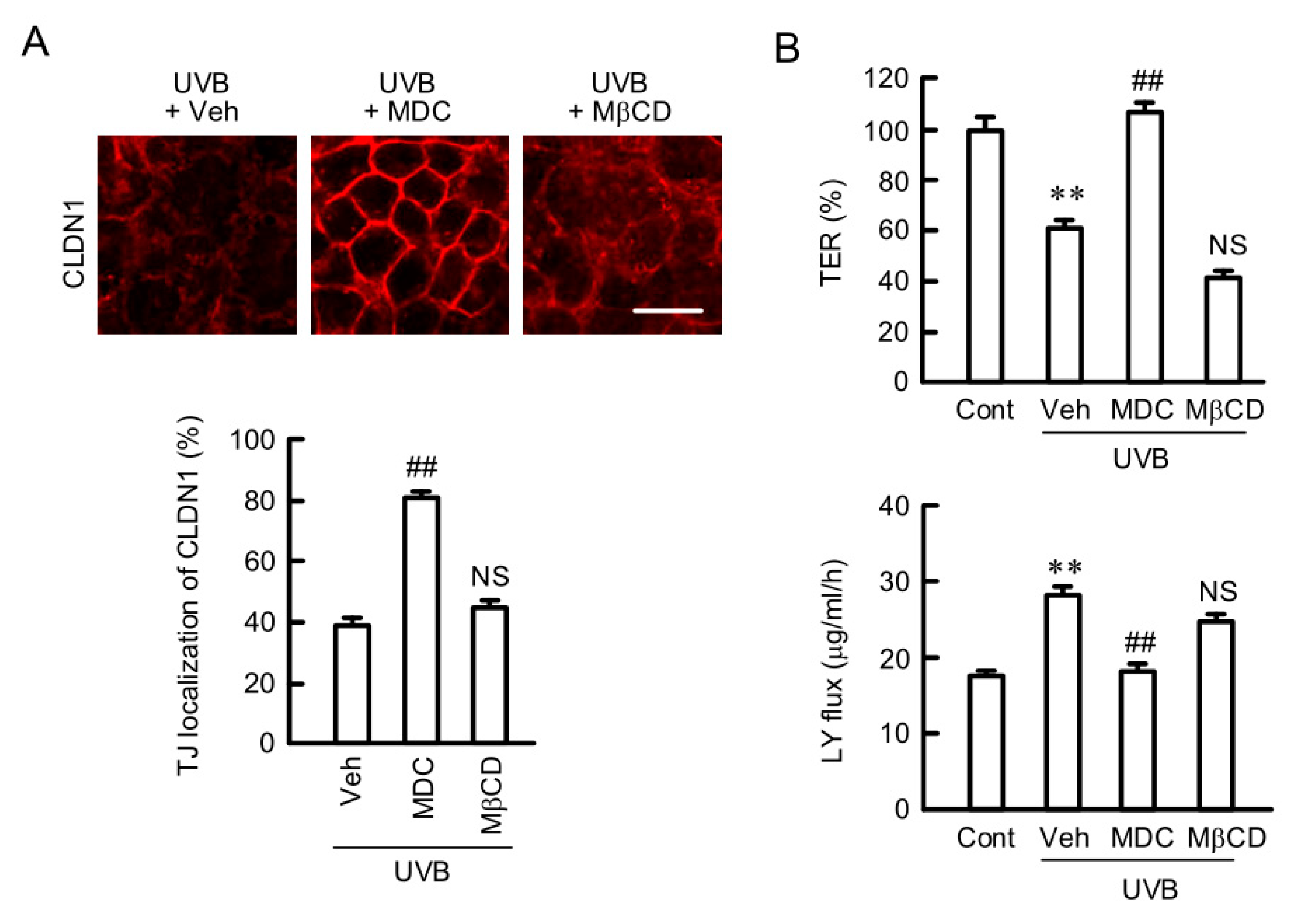 Ijms 21 07138 g003 Ijms 21 07138 g003