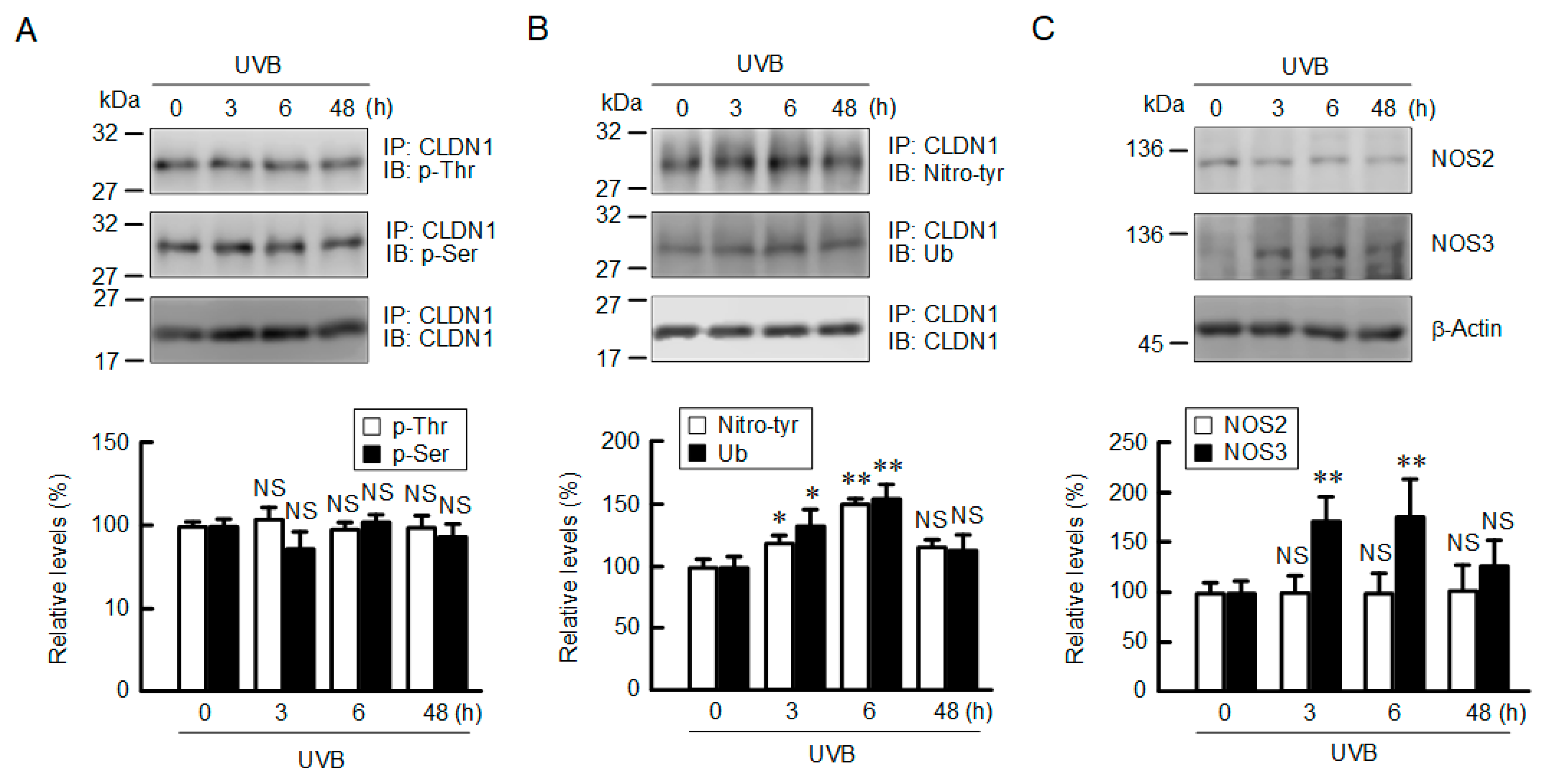 Ijms 21 07138 g004 Ijms 21 07138 g004