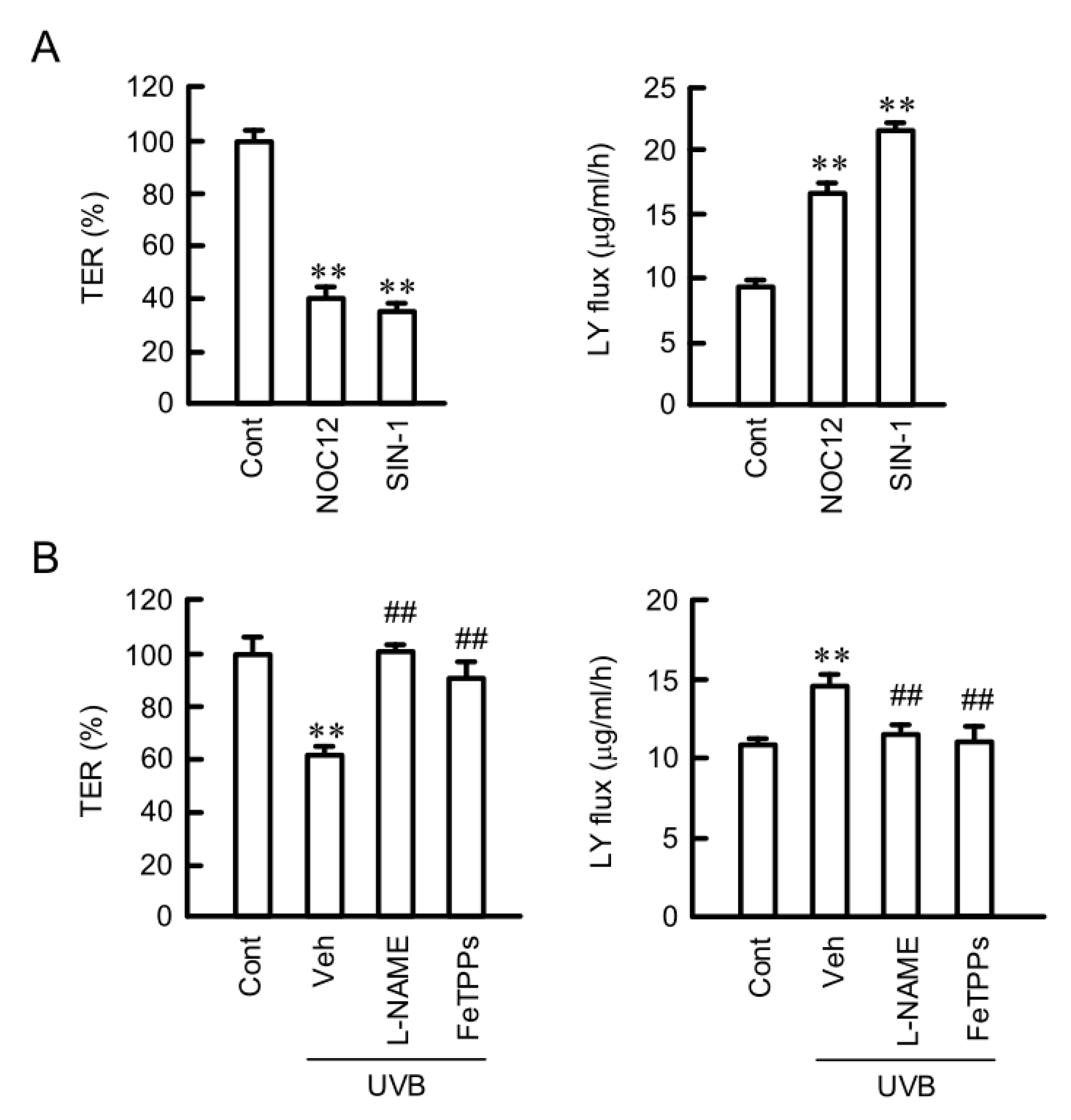 Ijms 21 07138 g006 Ijms 21 07138 g006
