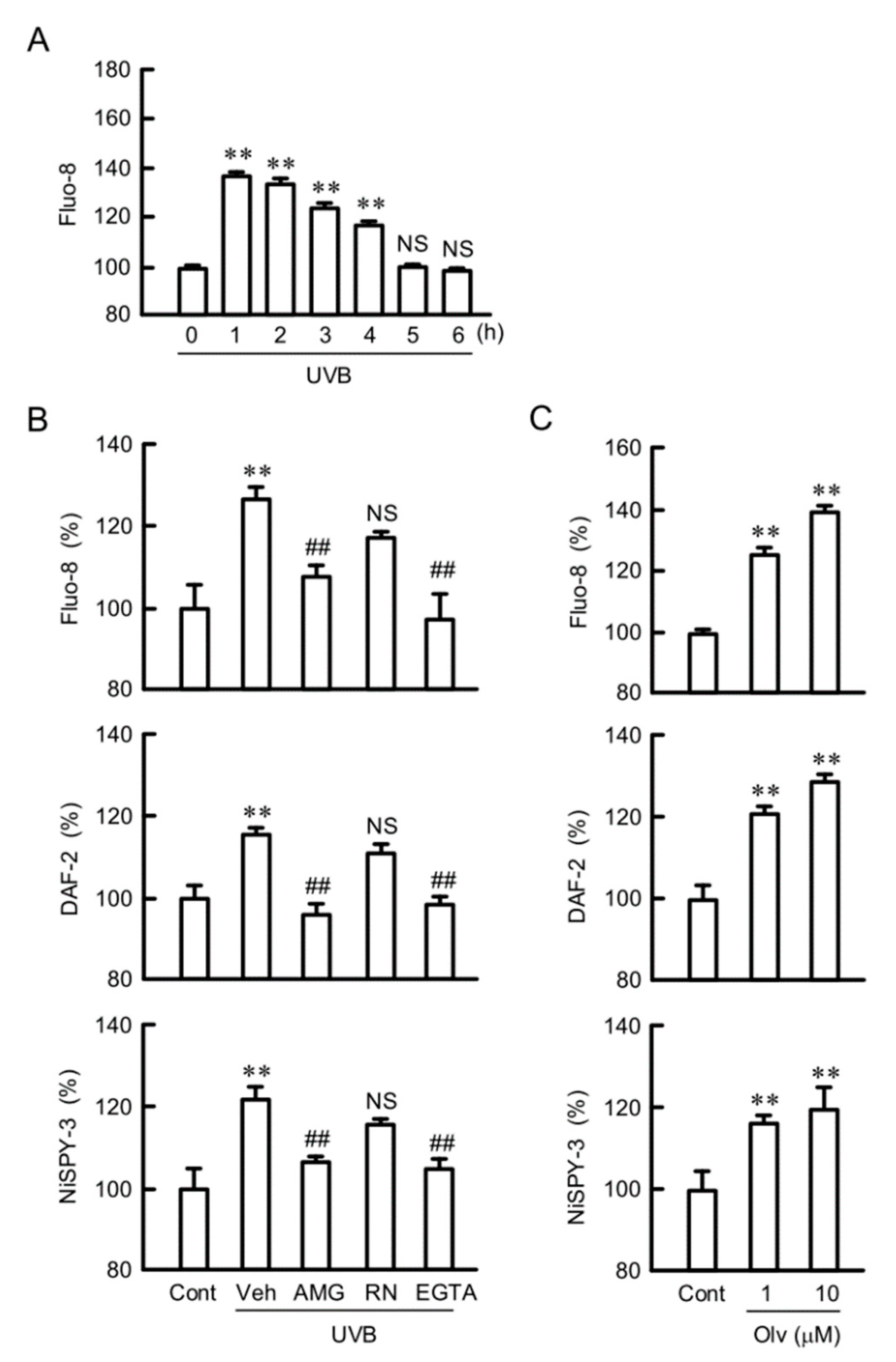 Ijms 21 07138 g007 Ijms 21 07138 g007