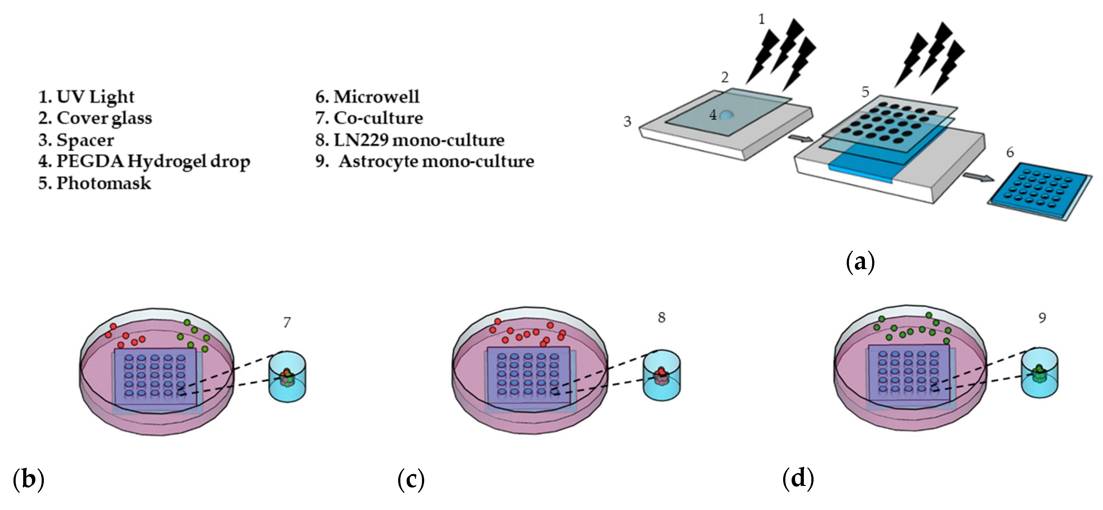Ijms 21 07154 g001 Ijms 21 07154 g001