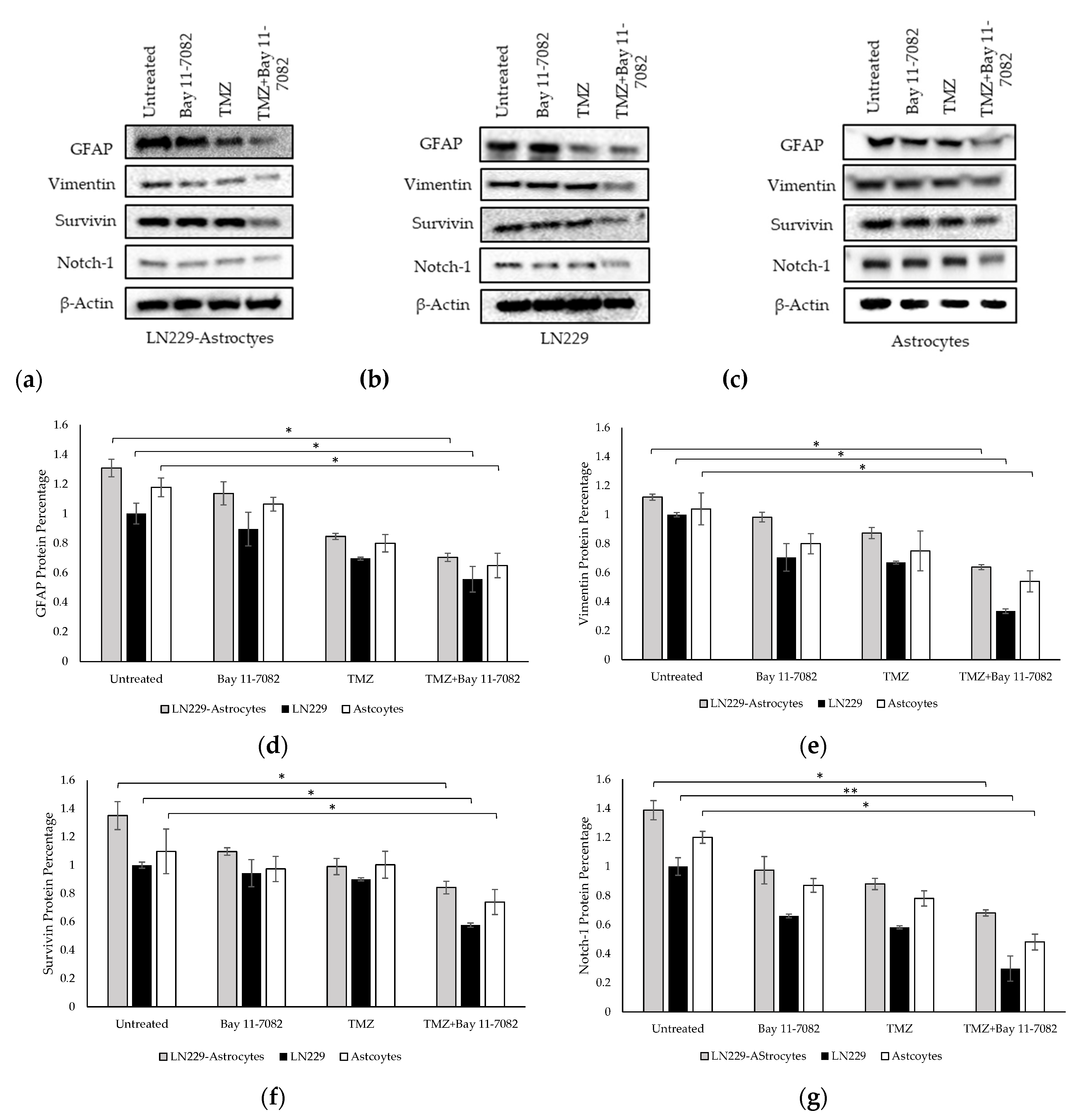 Ijms 21 07154 g005 Ijms 21 07154 g005