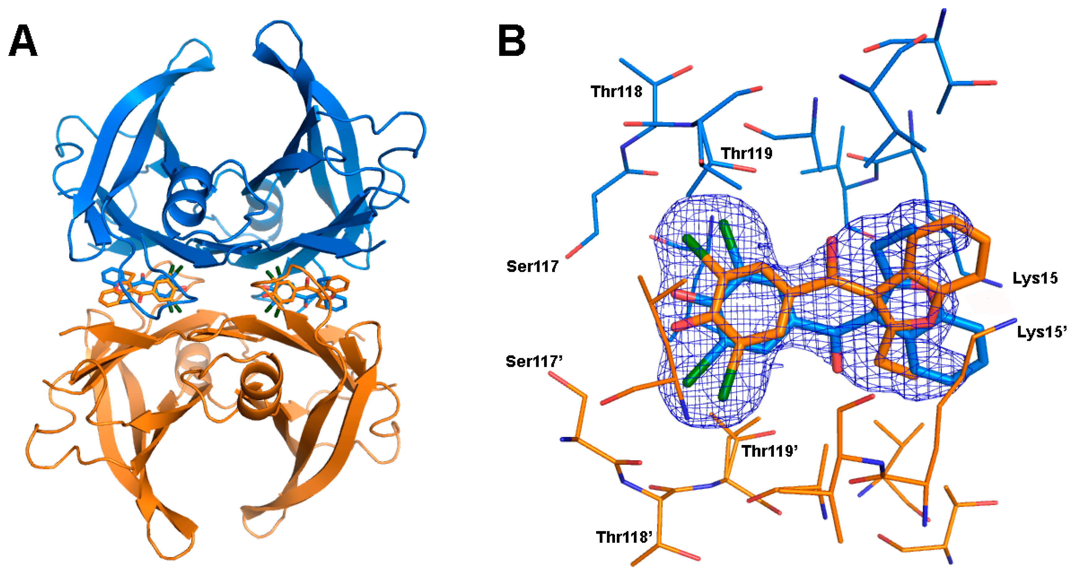 Ijms 21 07166 g006 Ijms 21 07166 g006