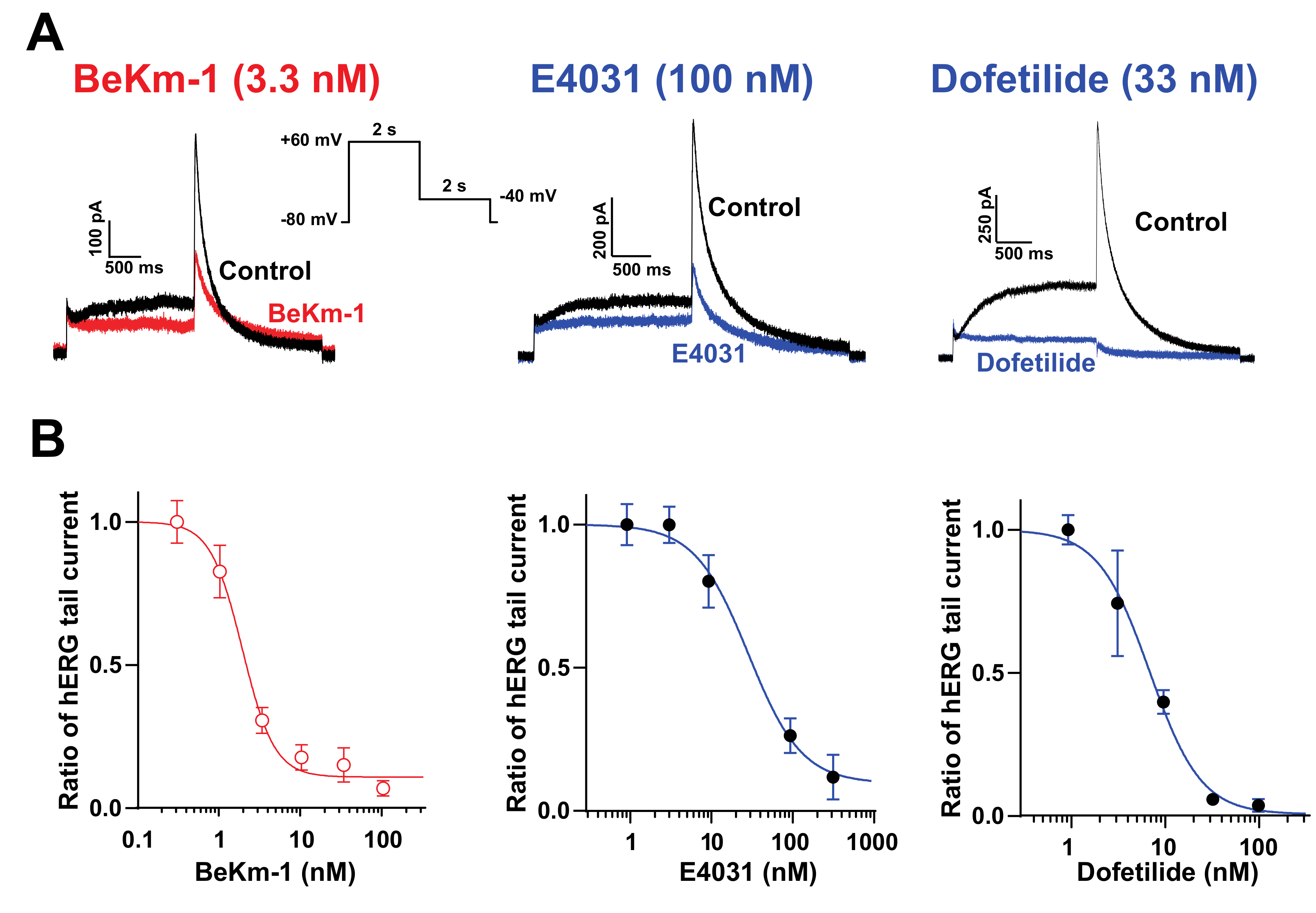 Ijms 21 07167 g001 Ijms 21 07167 g001
