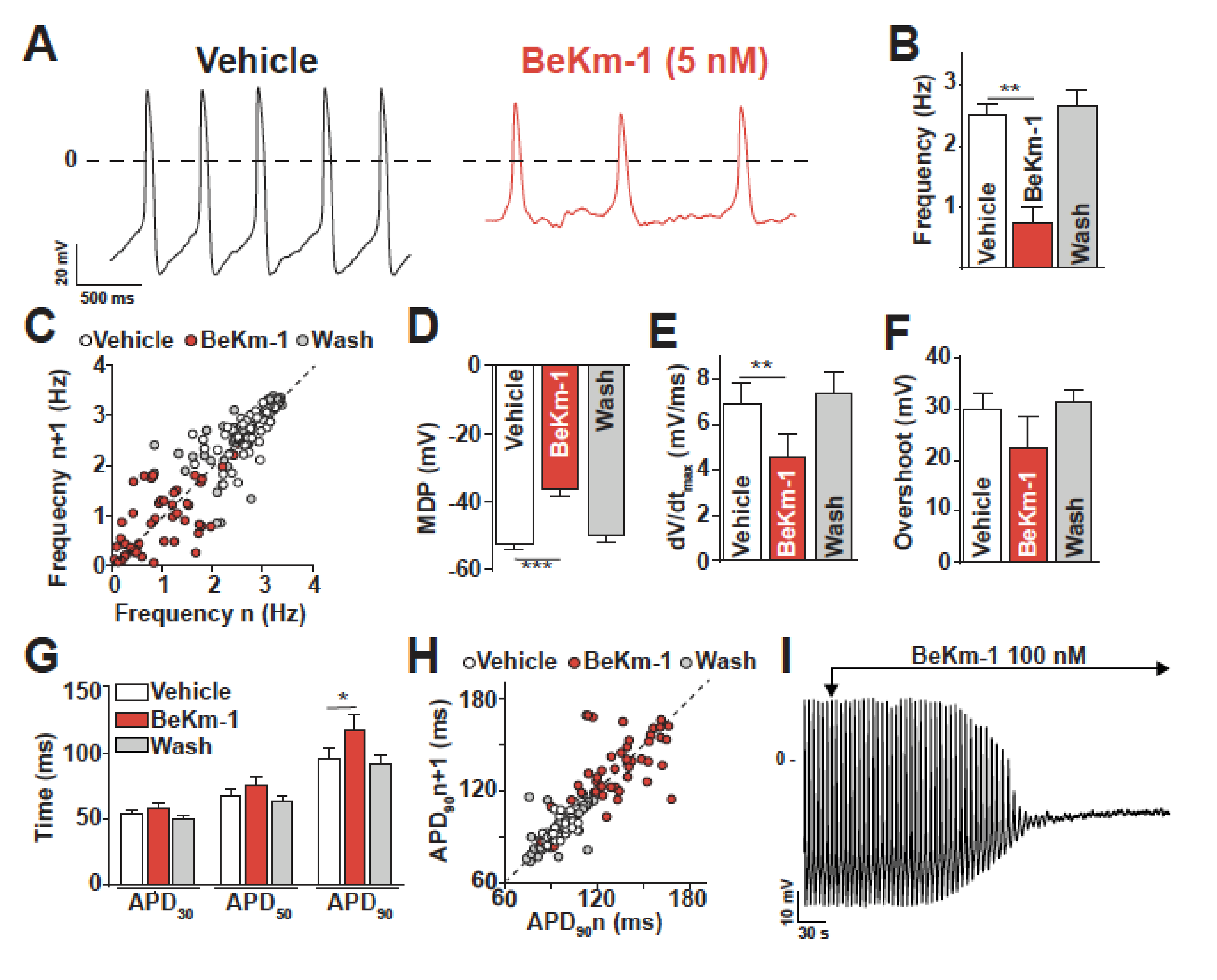 Ijms 21 07167 g002 Ijms 21 07167 g002