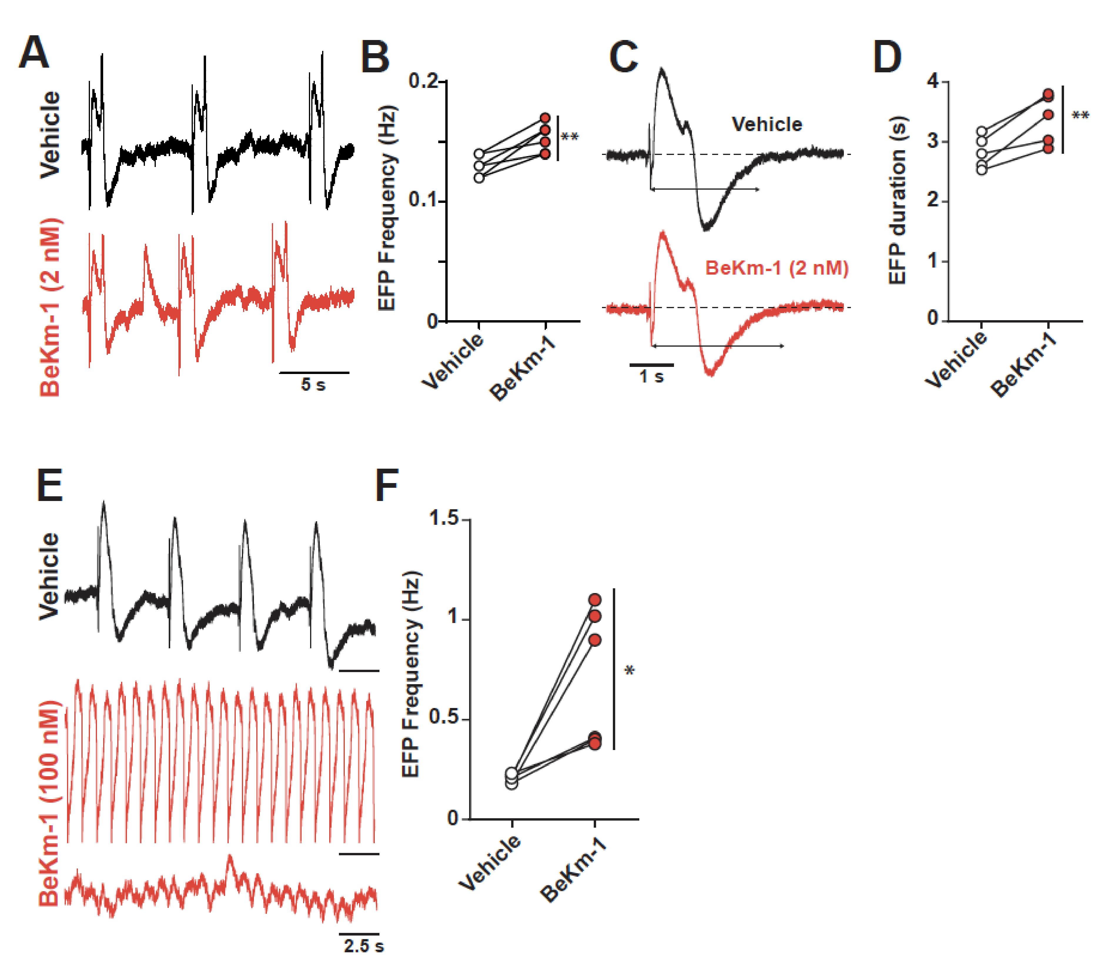 Ijms 21 07167 g004 Ijms 21 07167 g004