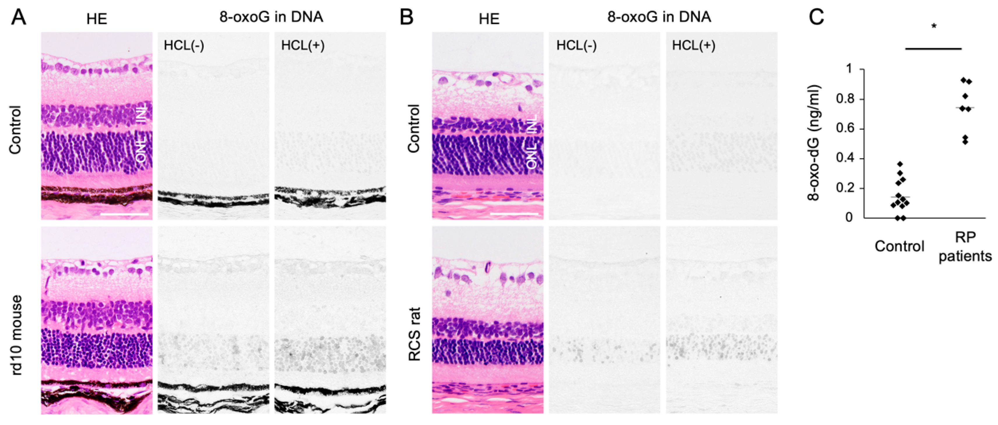 Ijms 21 07170 g002 Ijms 21 07170 g002