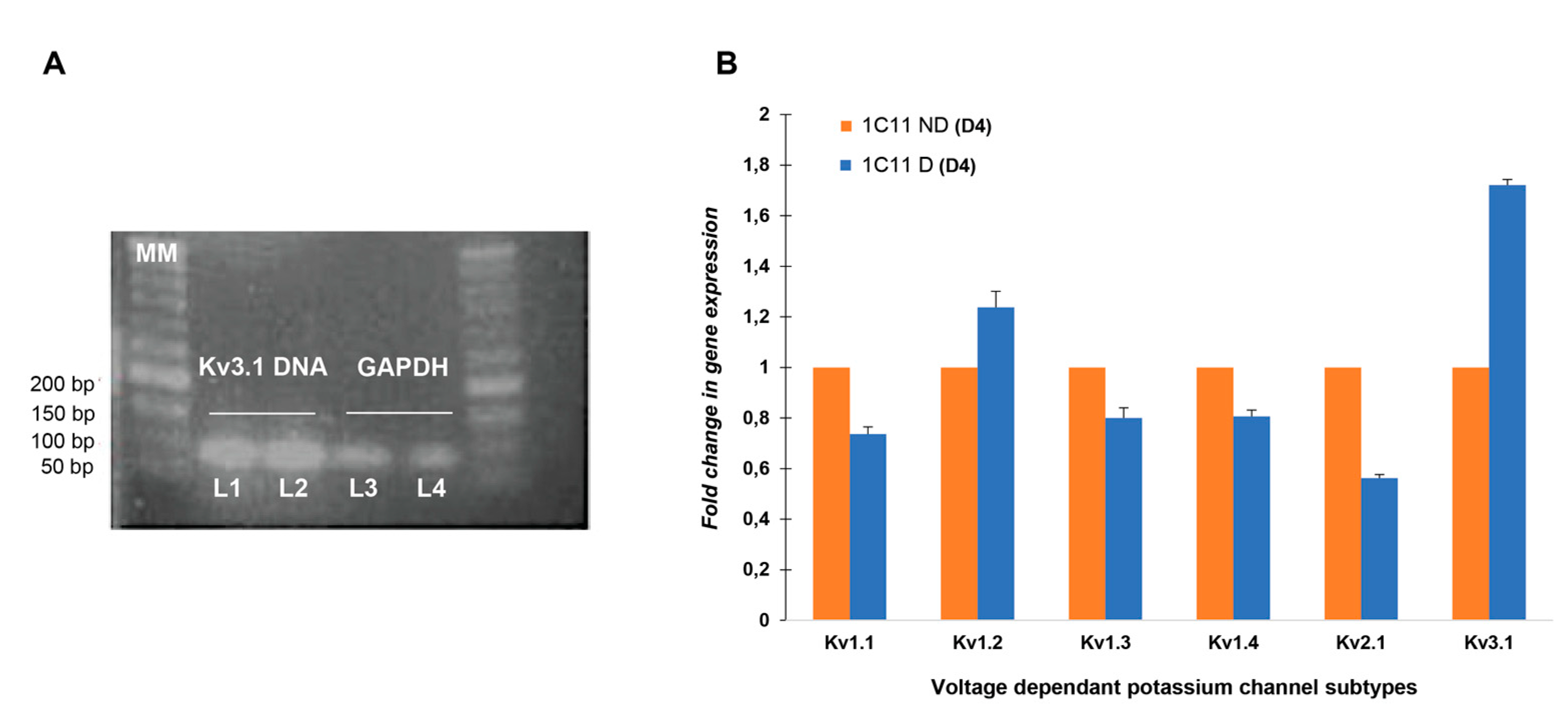 Ijms 21 07175 g001 Ijms 21 07175 g001
