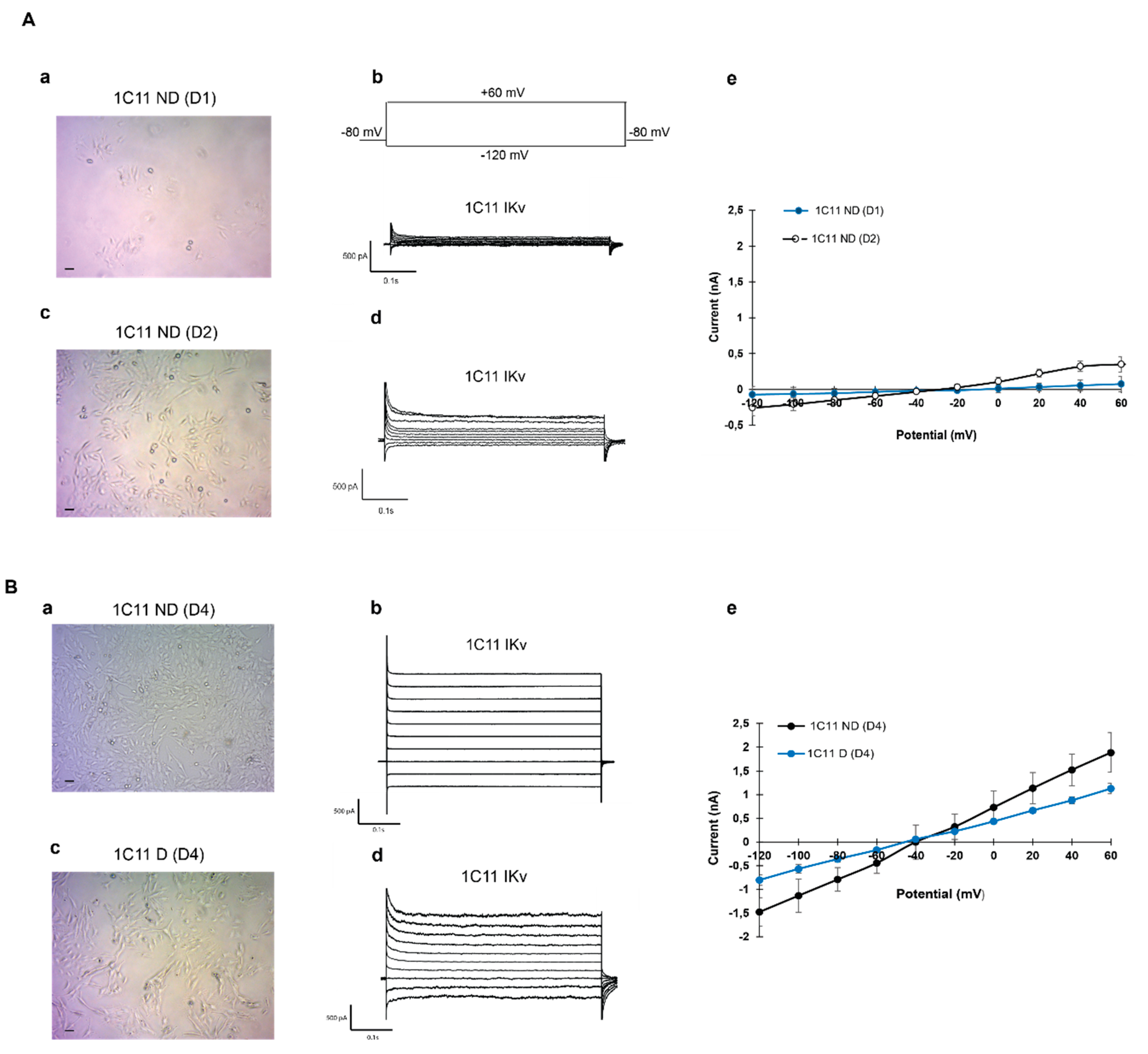 Ijms 21 07175 g002 Ijms 21 07175 g002