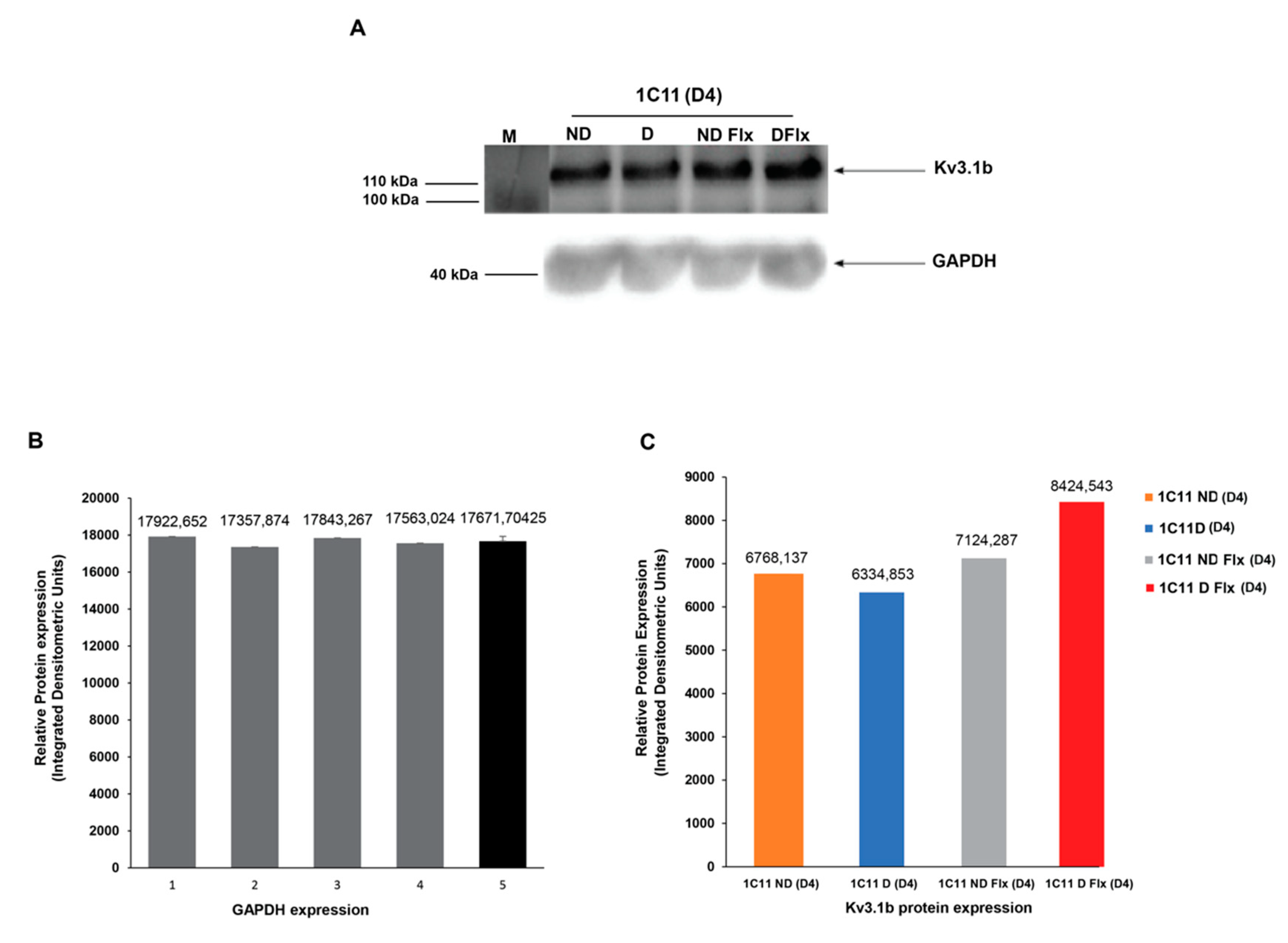 Ijms 21 07175 g005 Ijms 21 07175 g005