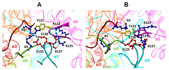 IJMS | Free Full-Text | Cooperative Binding of the Cationic Porphyrin  Tris-T4 Enhances Catalytic Activity of 20S Proteasome Unveiling a Complex  Distribution of Functional States