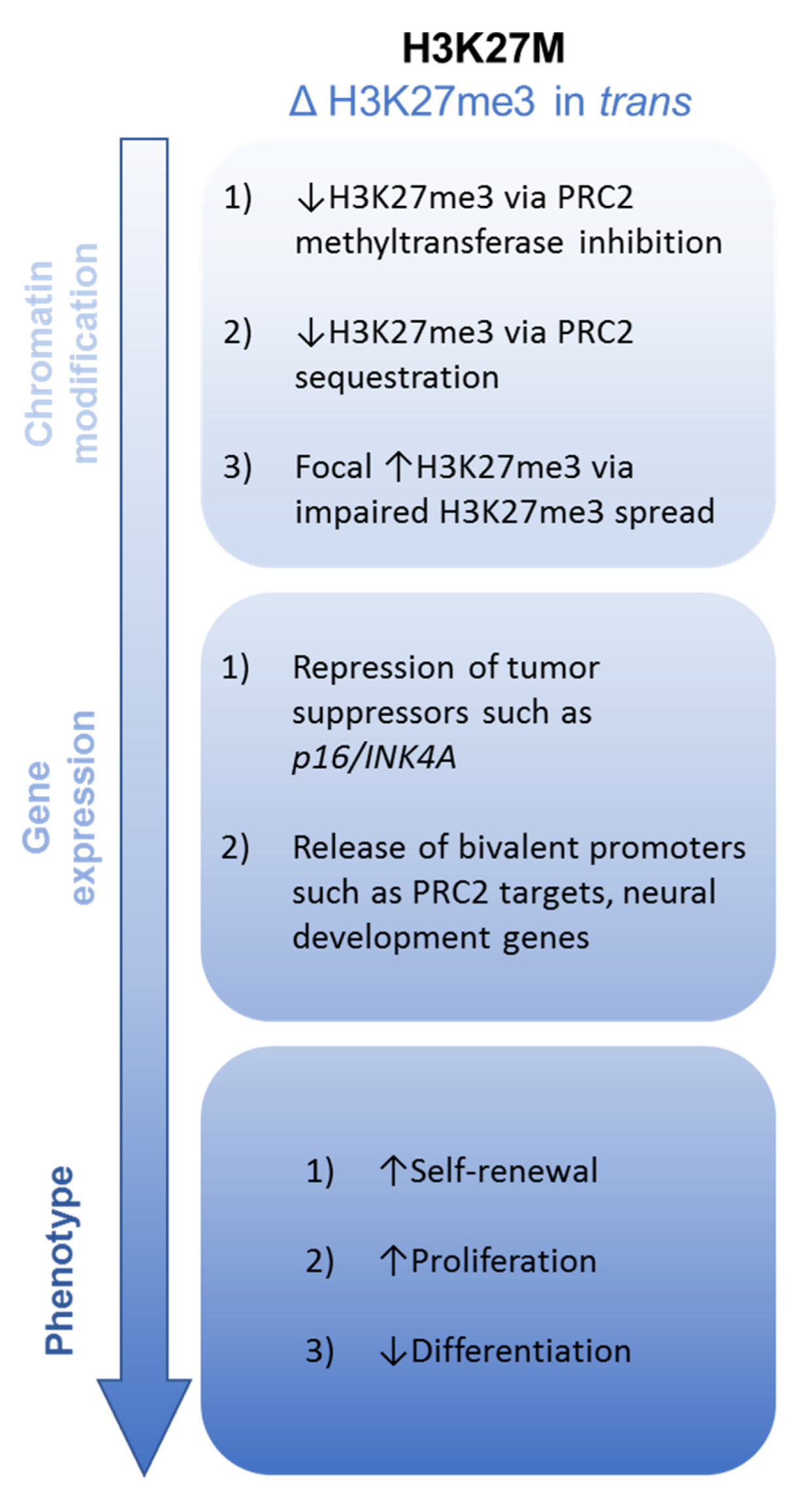 Ijms 21 07193 g002 Ijms 21 07193 g002