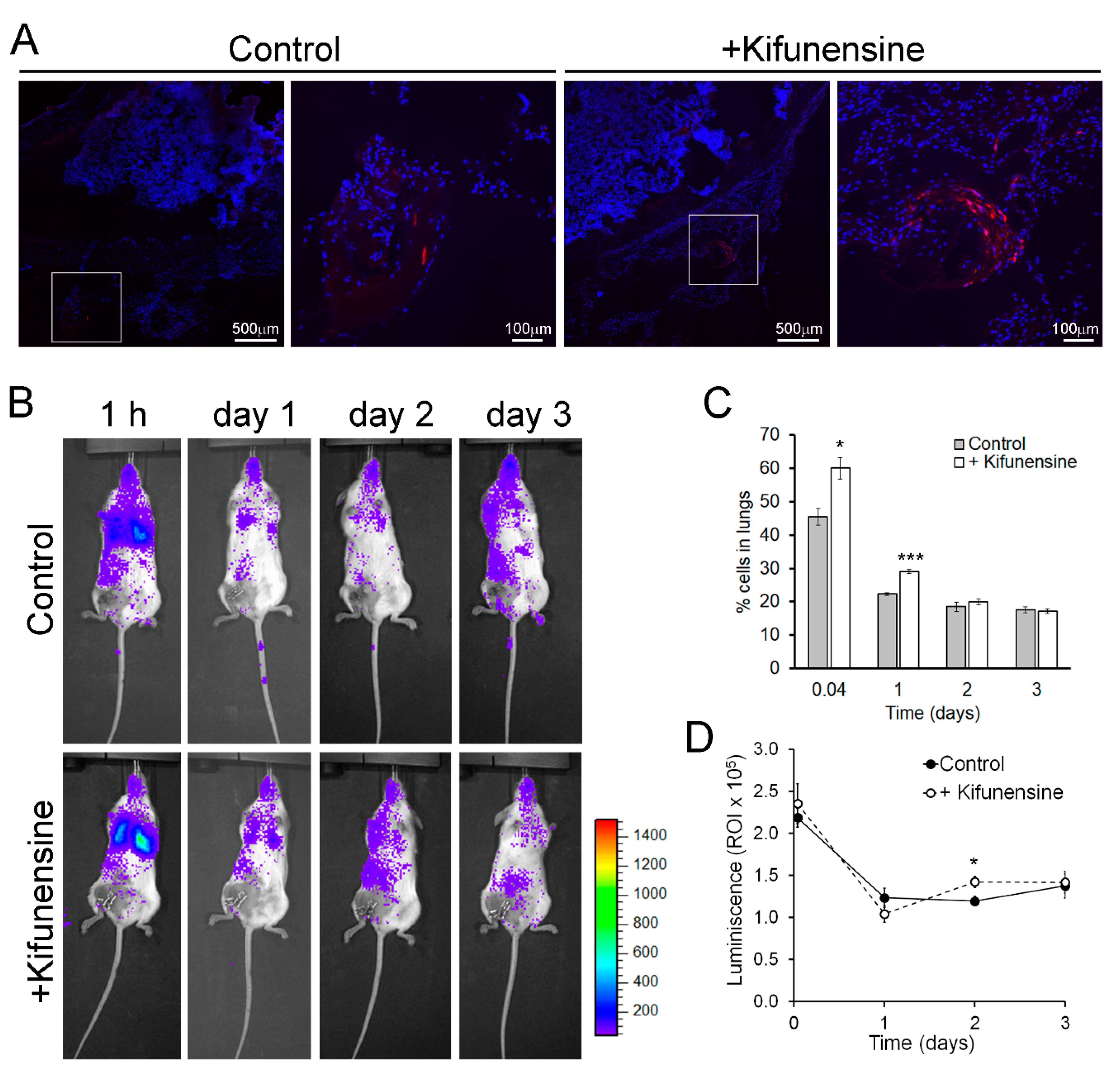 Ijms 21 07194 g002 Ijms 21 07194 g002