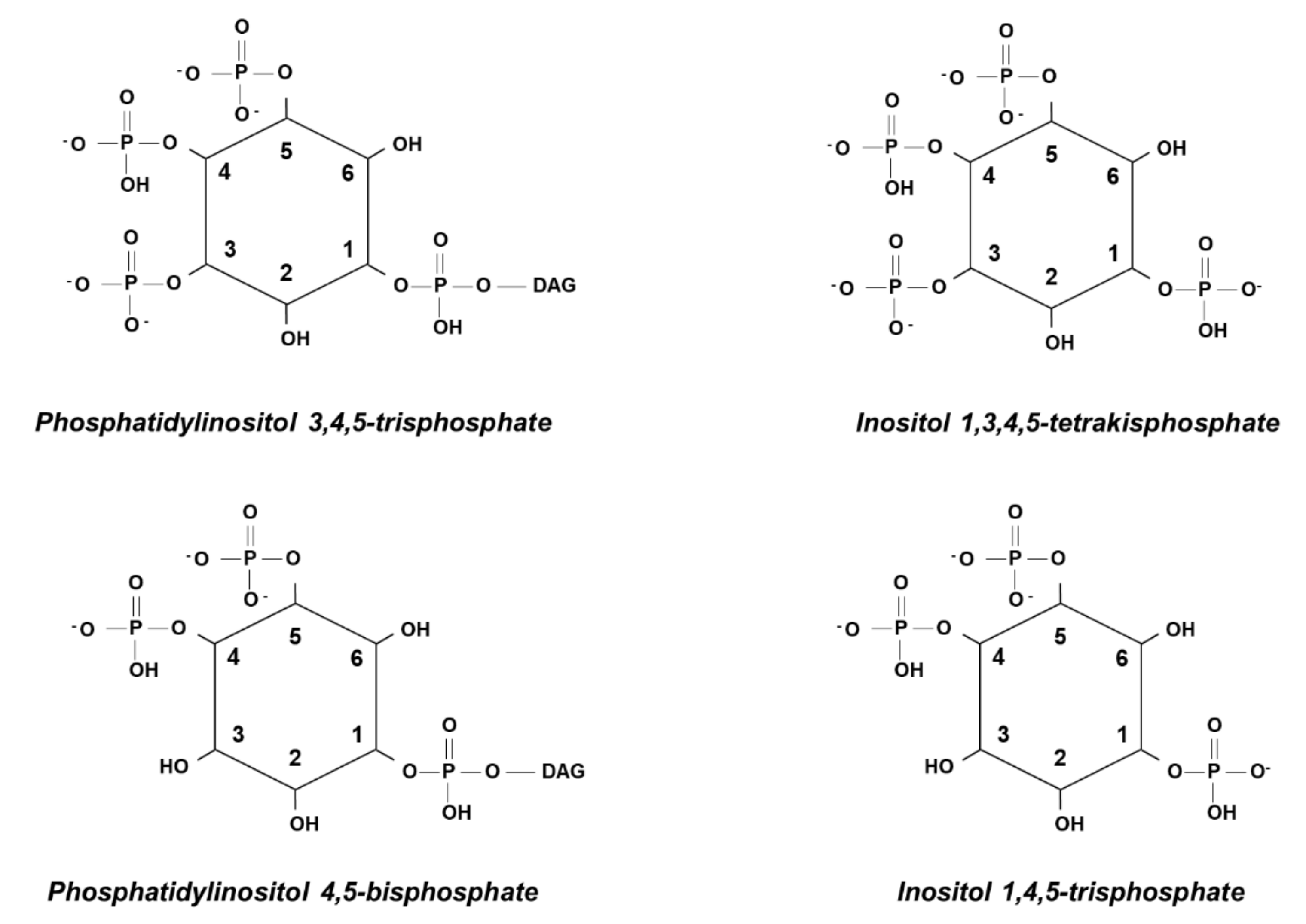 Ijms 21 07198 g004 Ijms 21 07198 g004