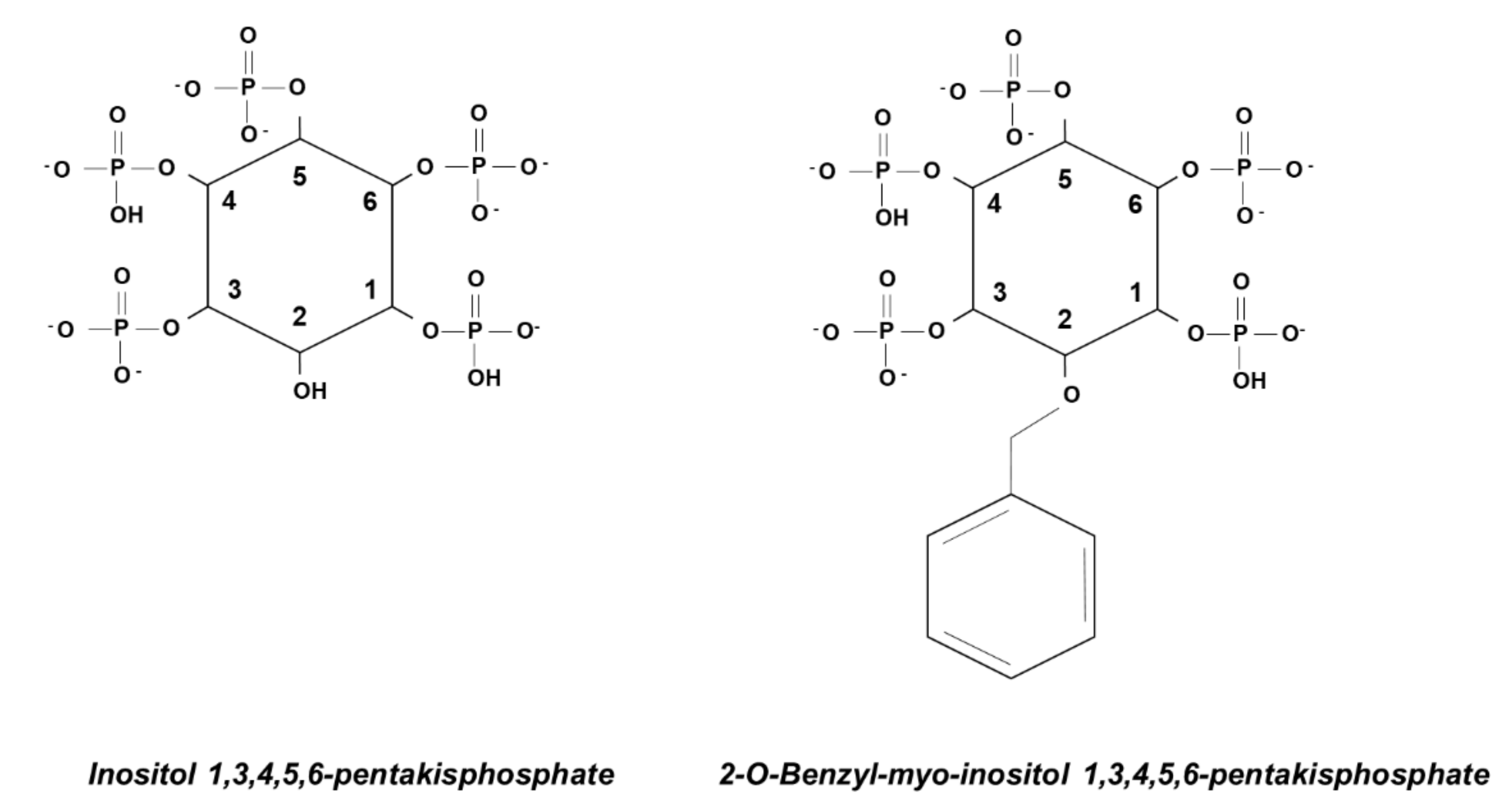 Ijms 21 07198 g005 Ijms 21 07198 g005