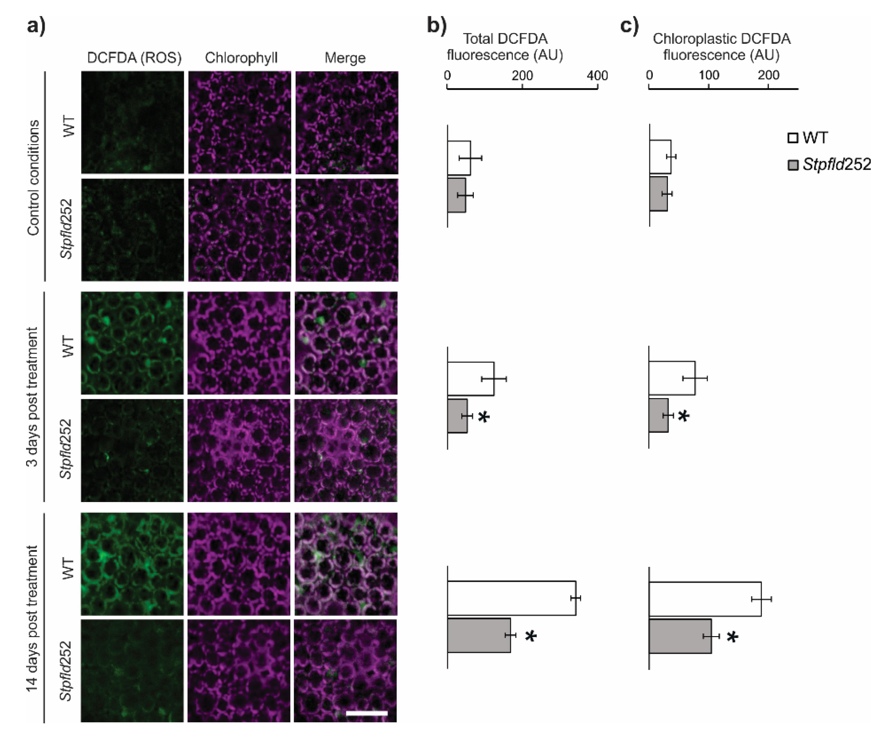 Ijms 21 07199 g002 Ijms 21 07199 g002