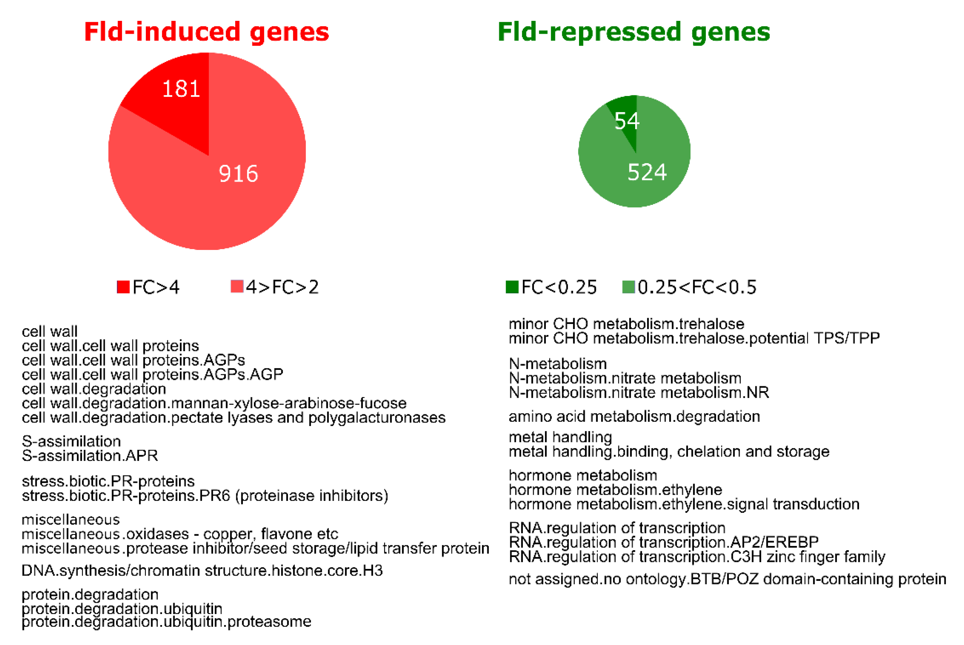 Ijms 21 07199 g003 Ijms 21 07199 g003