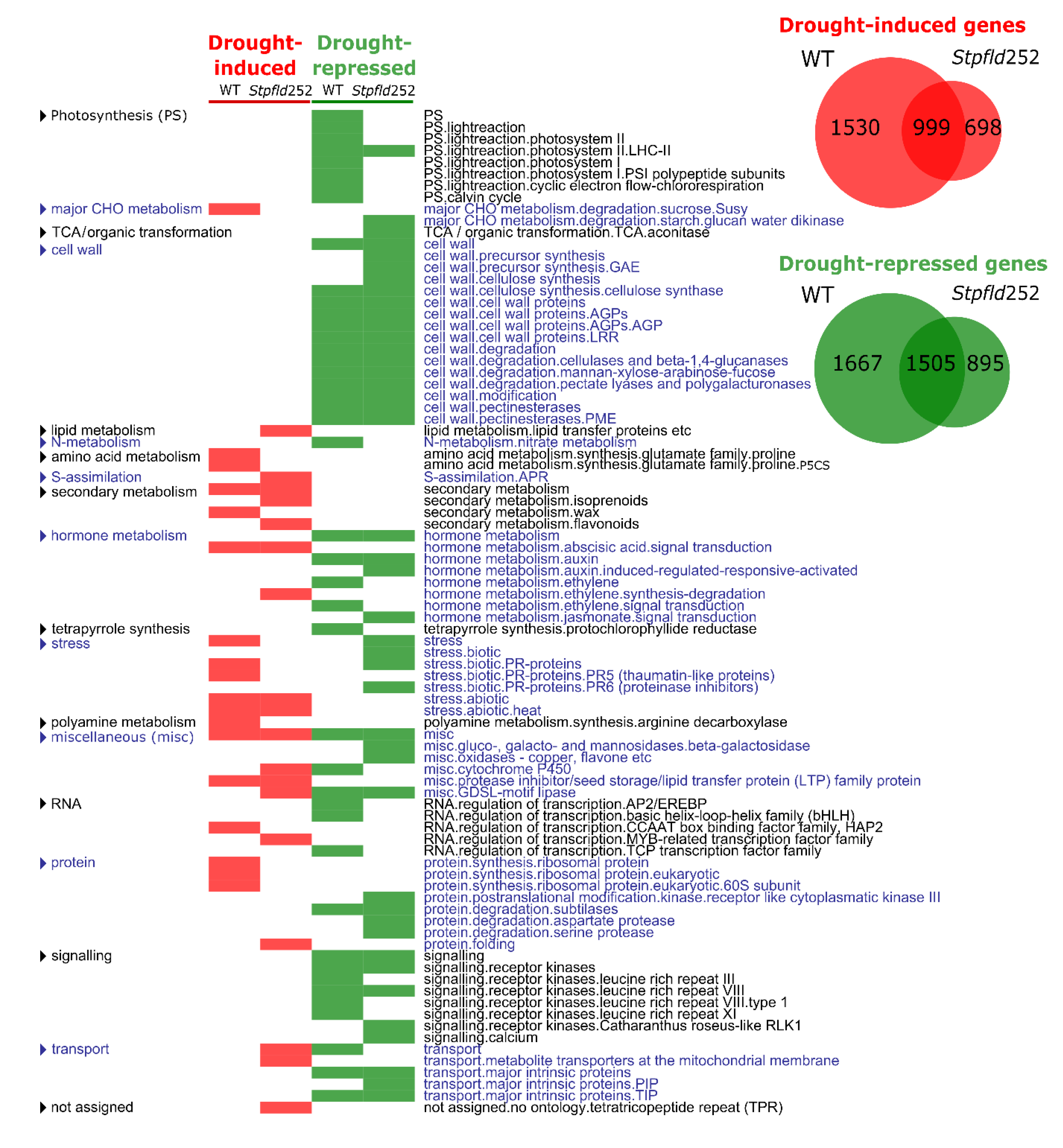 Ijms 21 07199 g004 Ijms 21 07199 g004