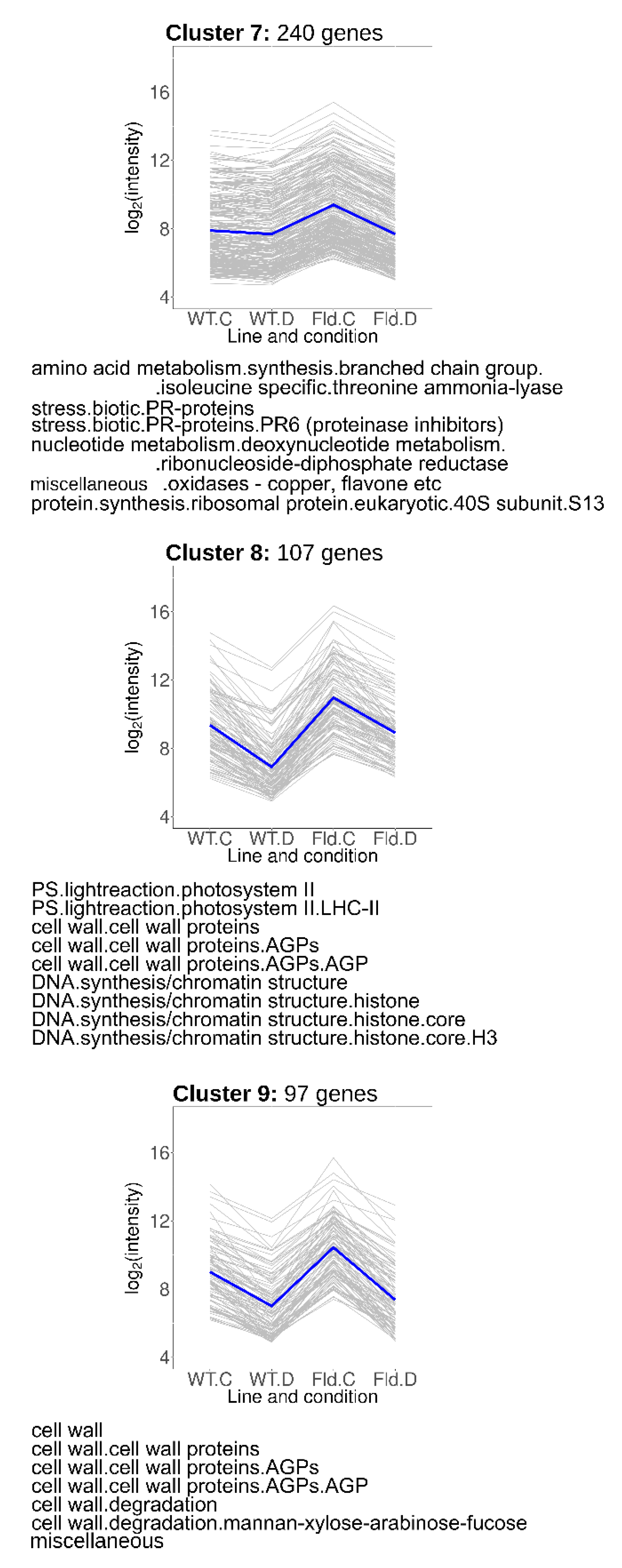 Ijms 21 07199 g006 Ijms 21 07199 g006