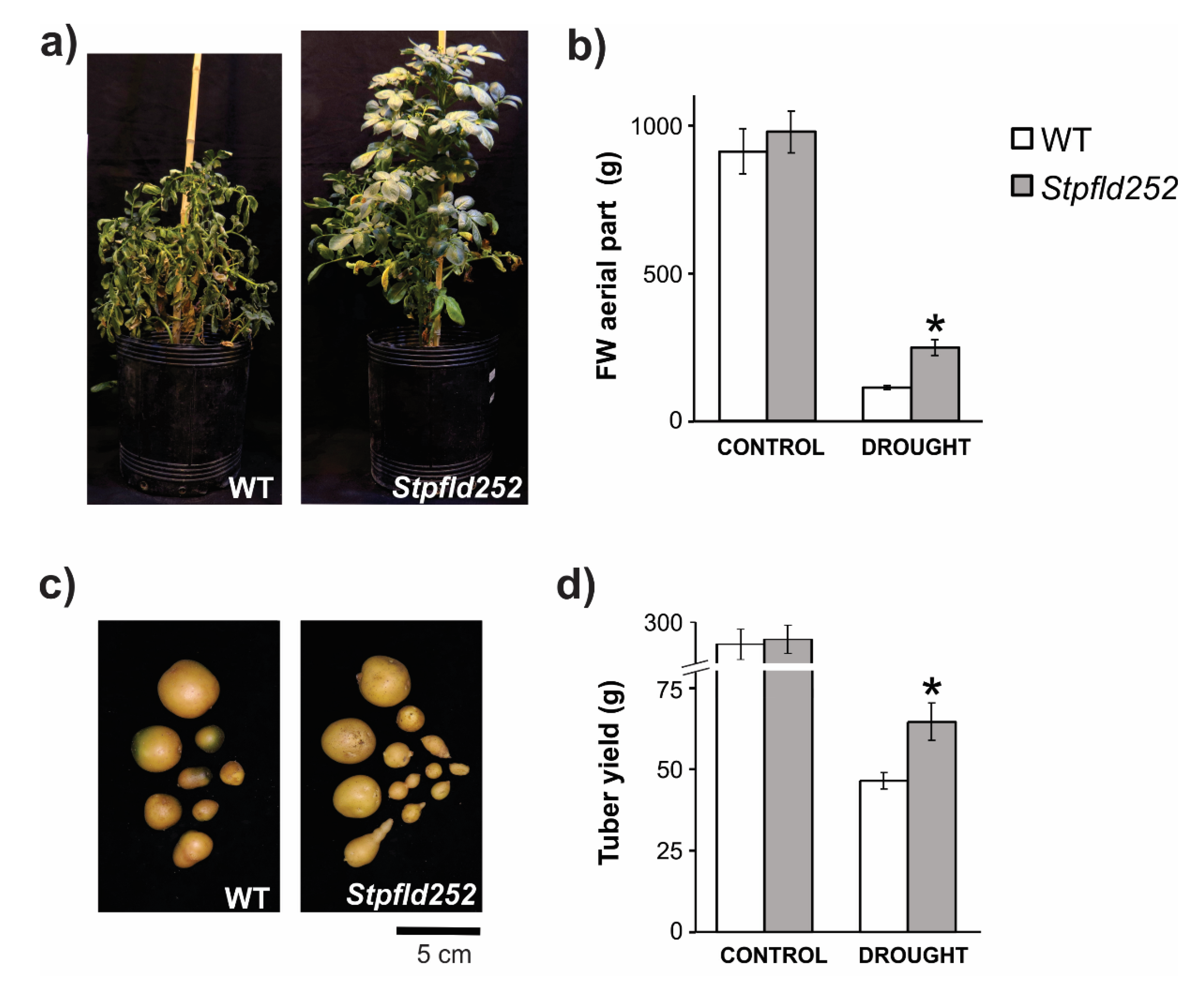 Ijms 21 07199 g009 Ijms 21 07199 g009