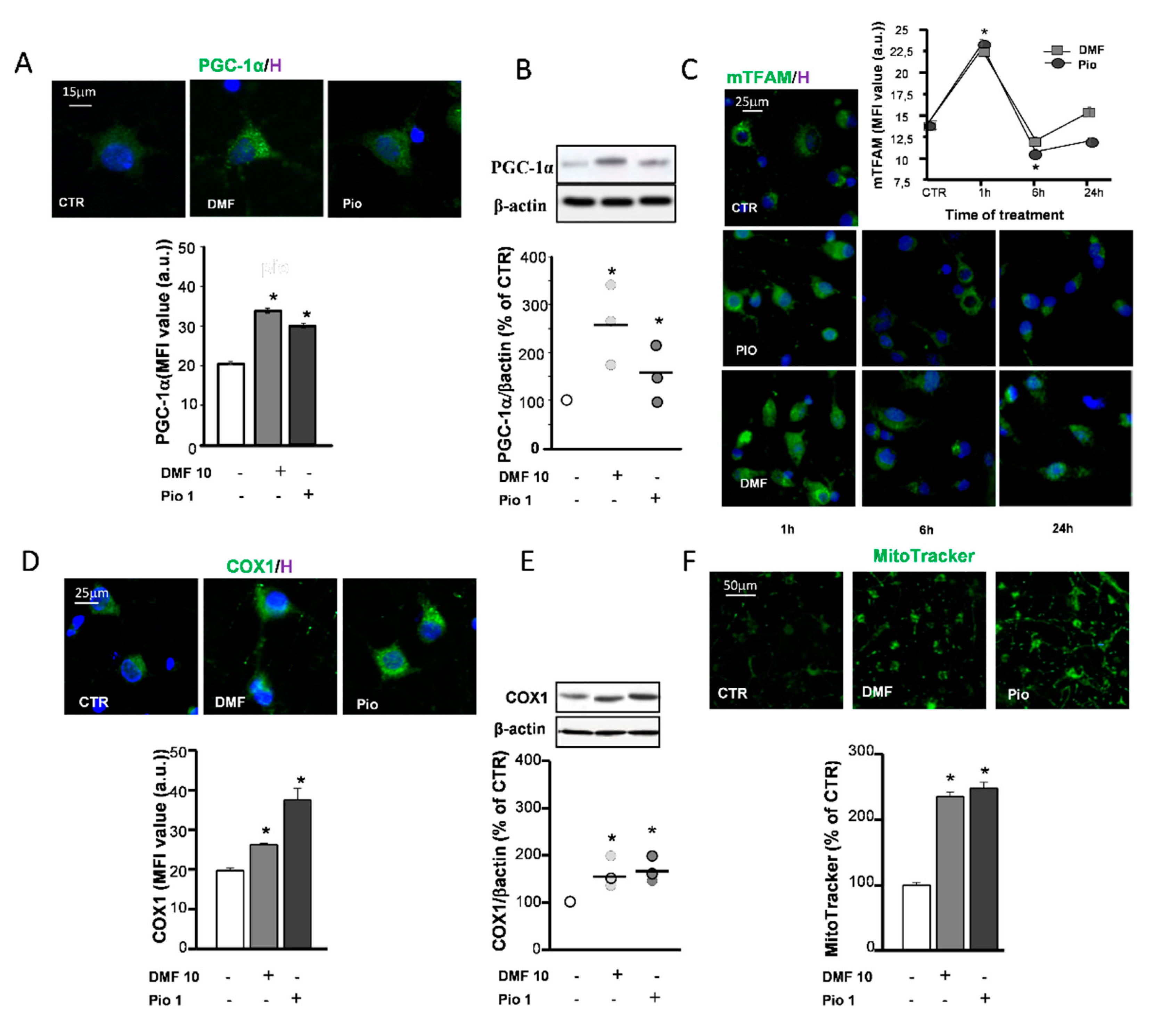 Ijms 21 07216 g003 Ijms 21 07216 g003
