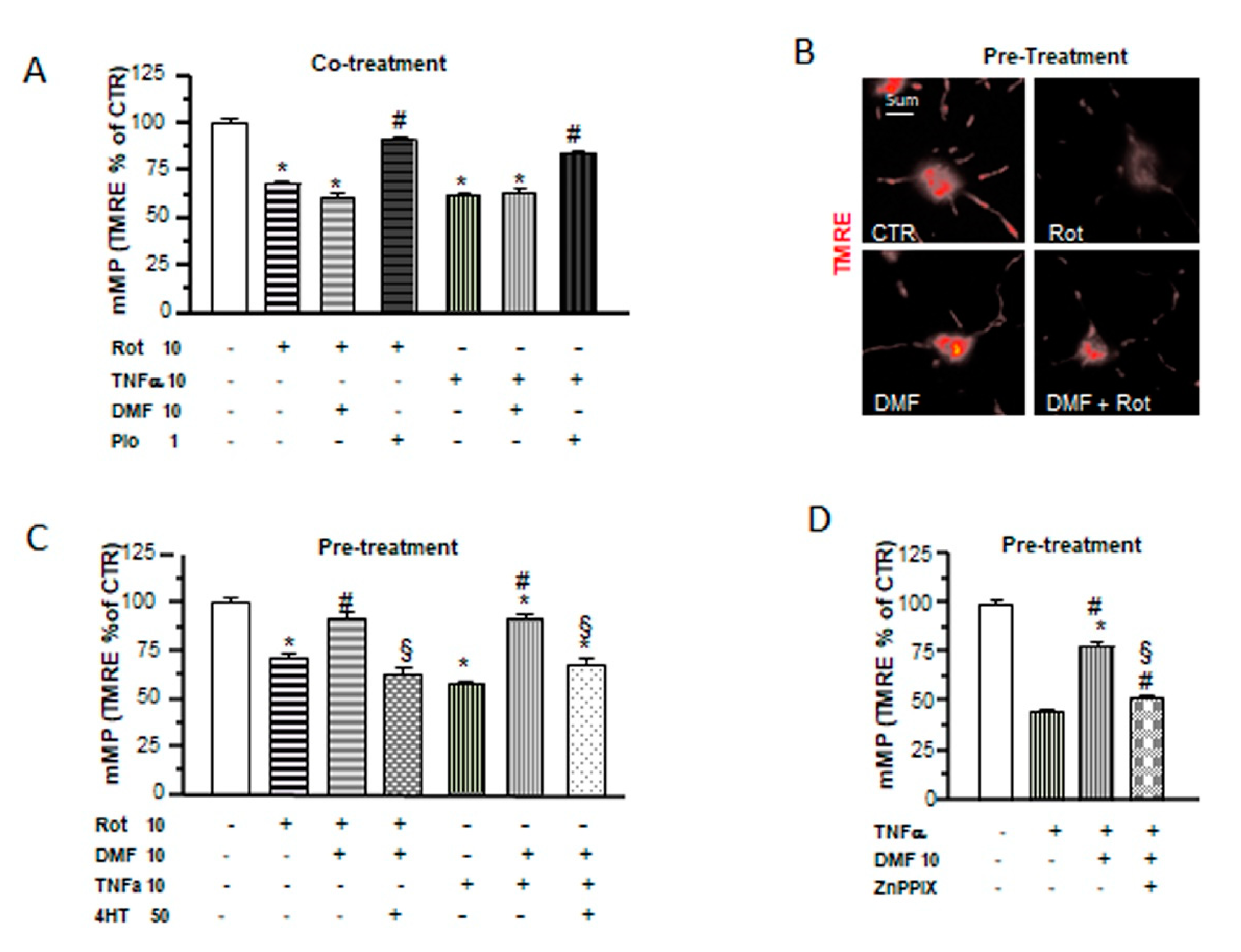 Ijms 21 07216 g005 Ijms 21 07216 g005