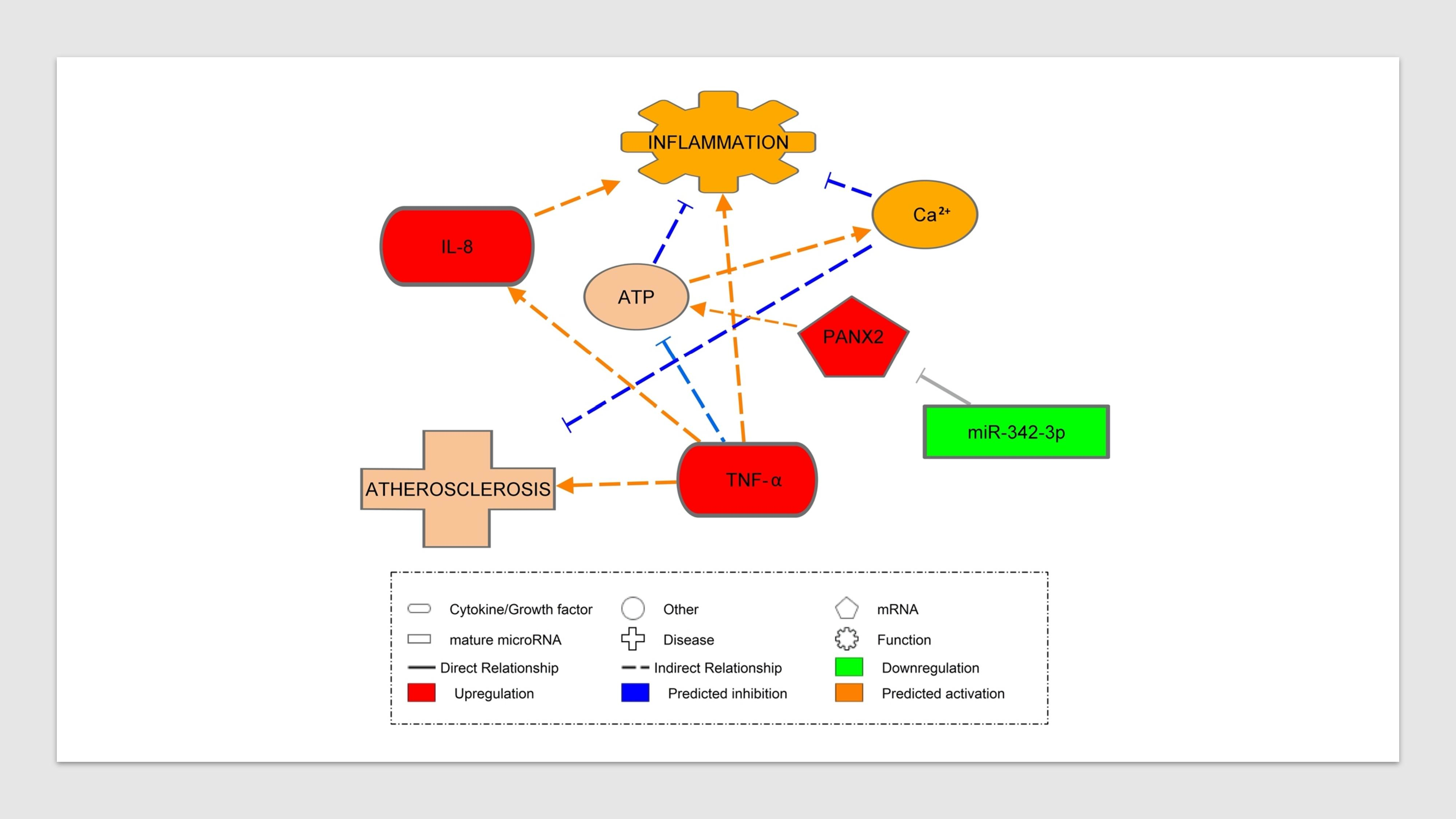 Ijms Free Full Text The Role Of Mir 342 In Vascular Health Study In Subclinical Cardiovascular Disease In Mononuclear Cells Plasma Inflammatory Cytokines And Panx2 Html