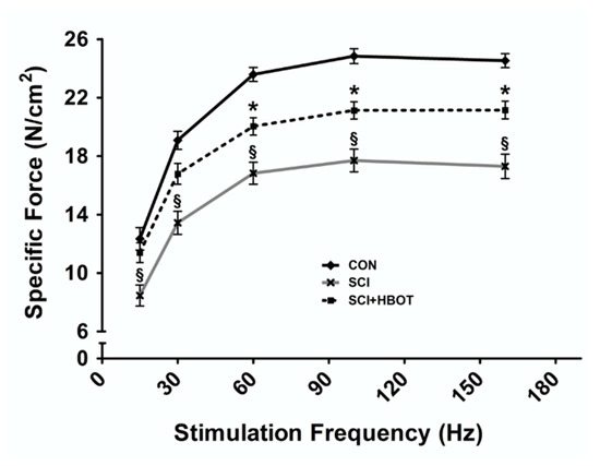 Ijms 21 07219 g001 Ijms 21 07219 g001