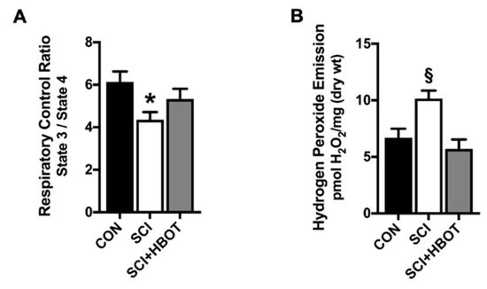 Ijms 21 07219 g003 Ijms 21 07219 g003