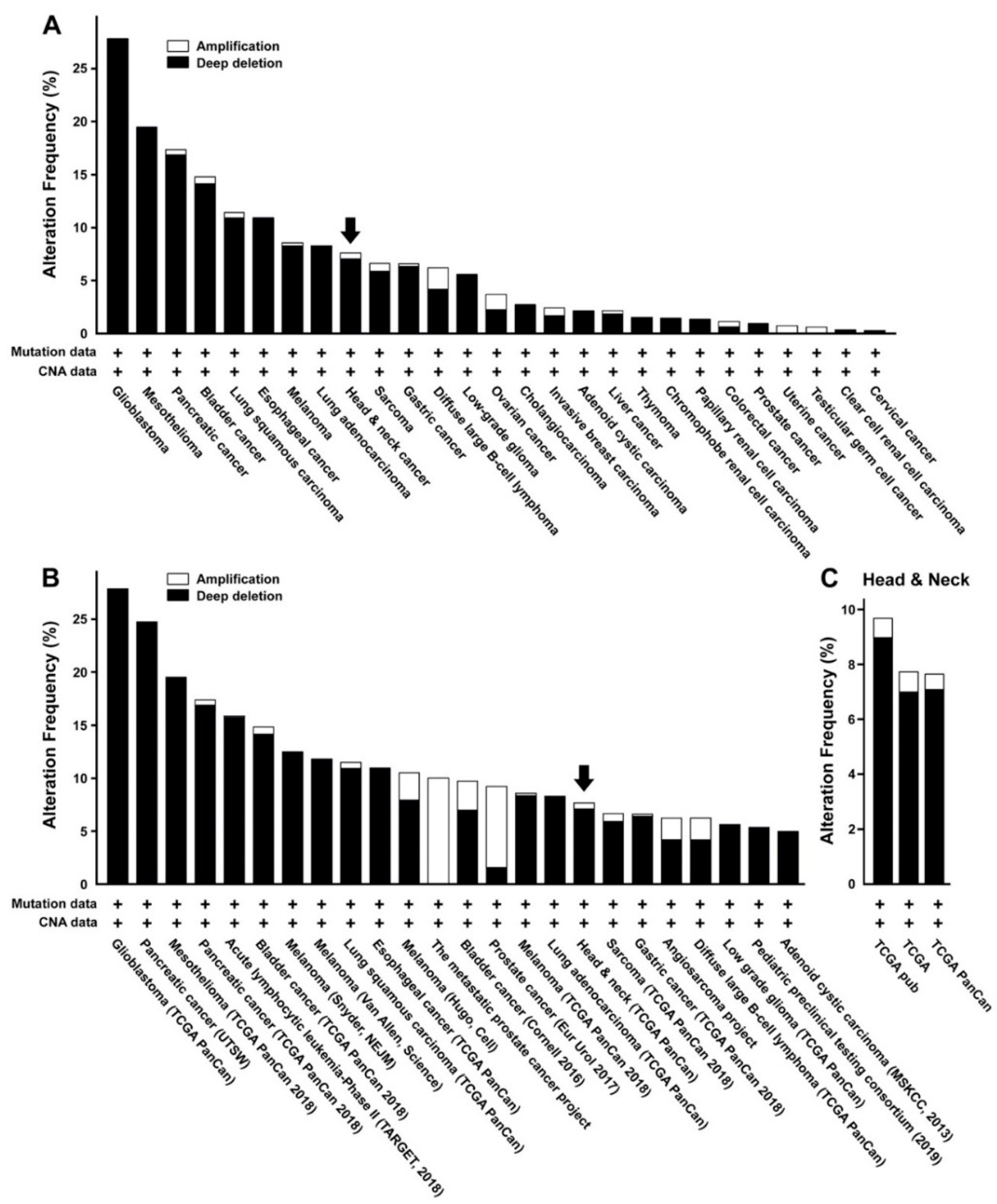 IJMS | Free Full-Text | MicroRNA-31 Regulates Expression of 