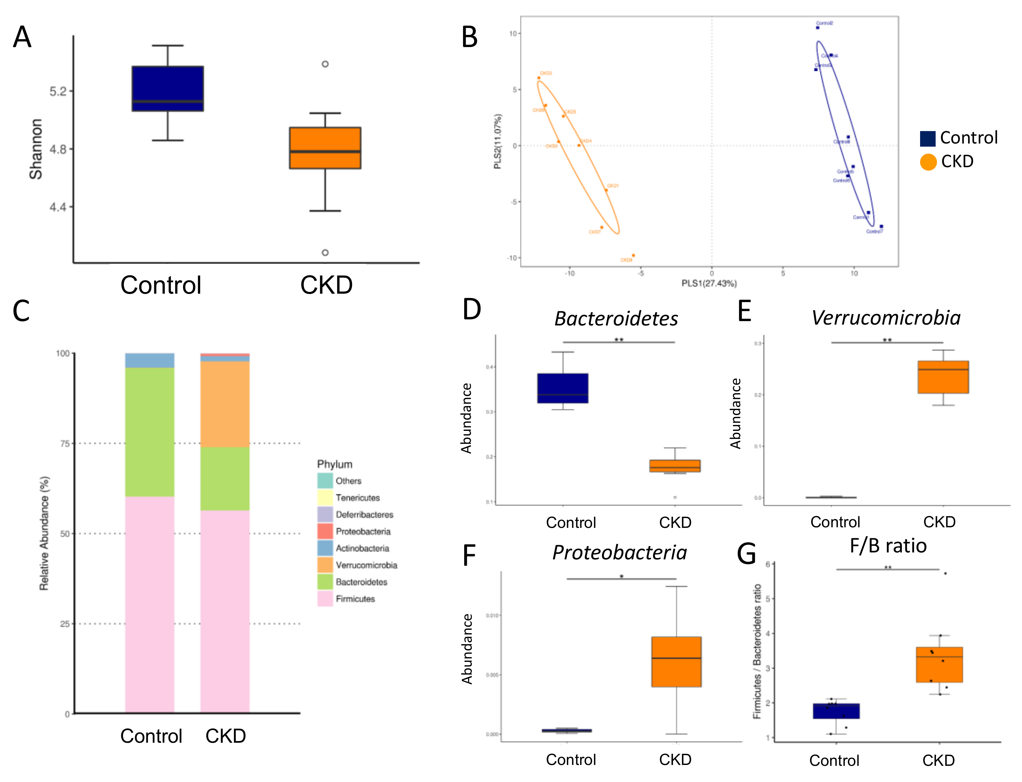 Ijms 21 07237 g003 Ijms 21 07237 g003