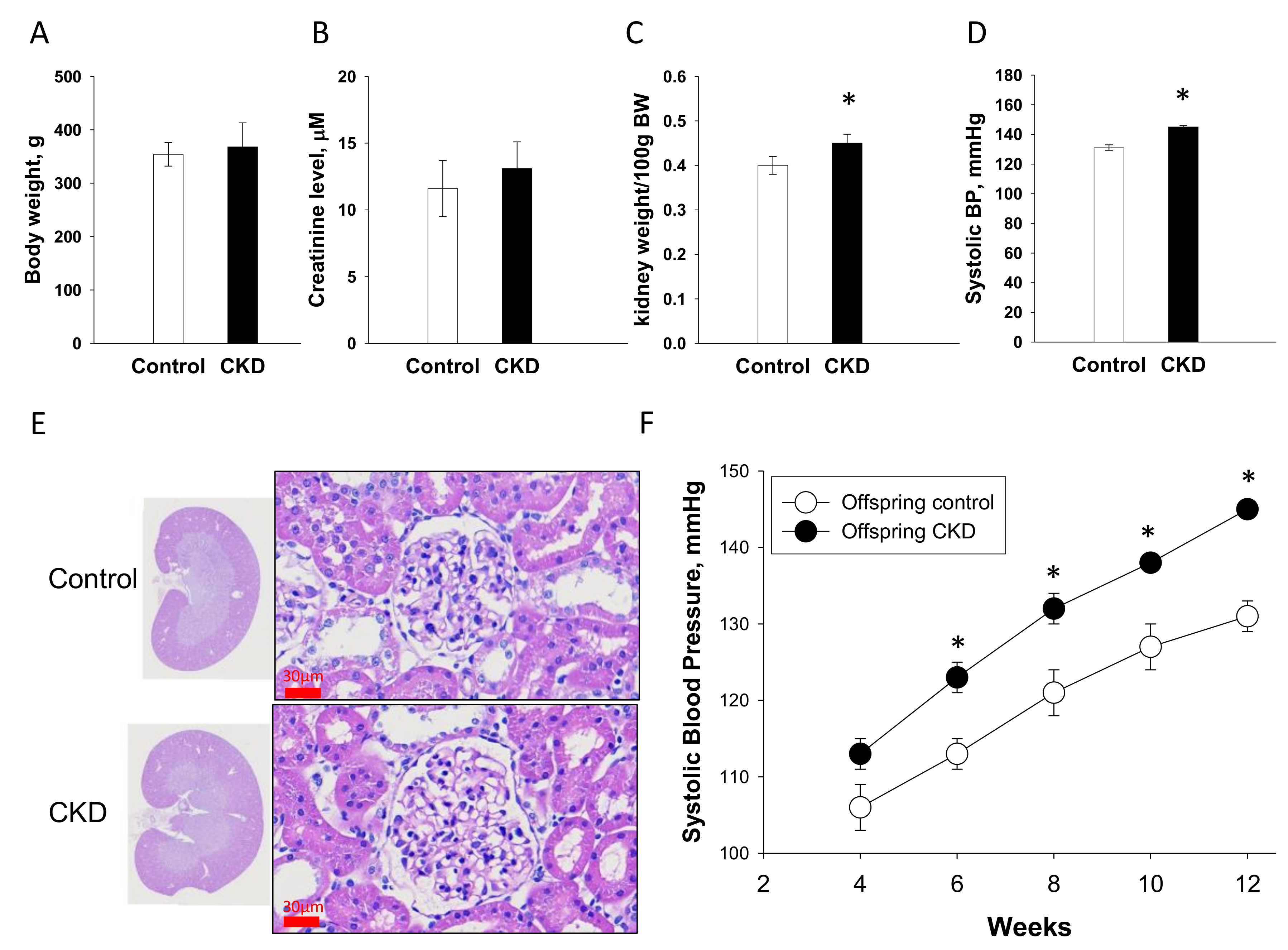Ijms 21 07237 g005 Ijms 21 07237 g005