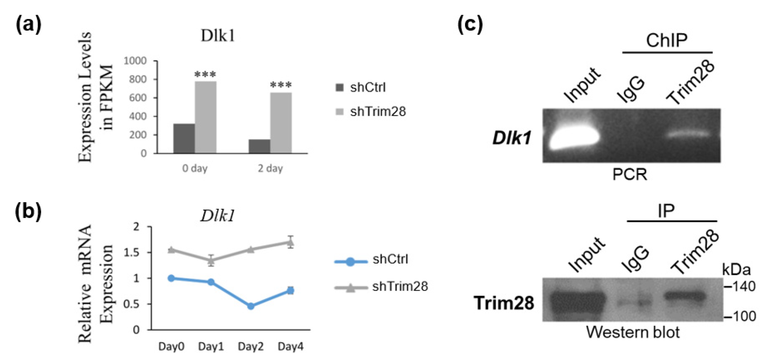 Ijms 21 07245 g003 Ijms 21 07245 g003