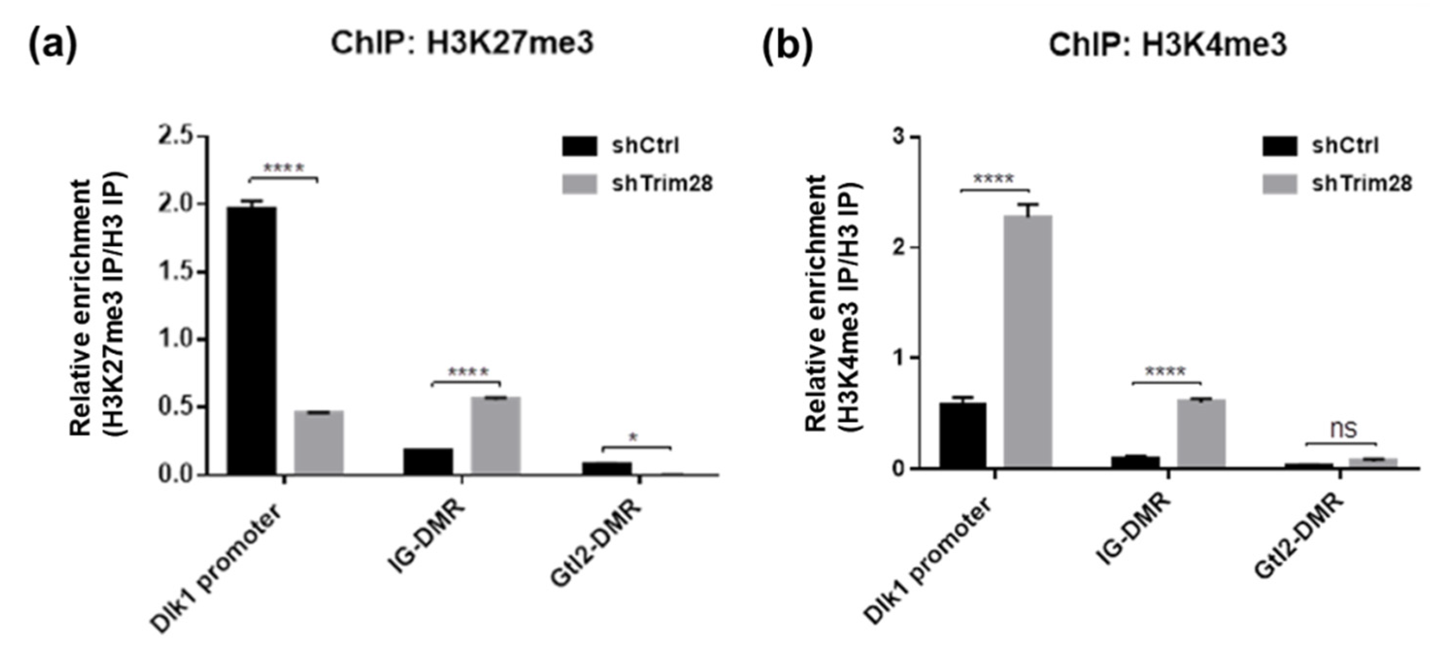 Ijms 21 07245 g006 Ijms 21 07245 g006
