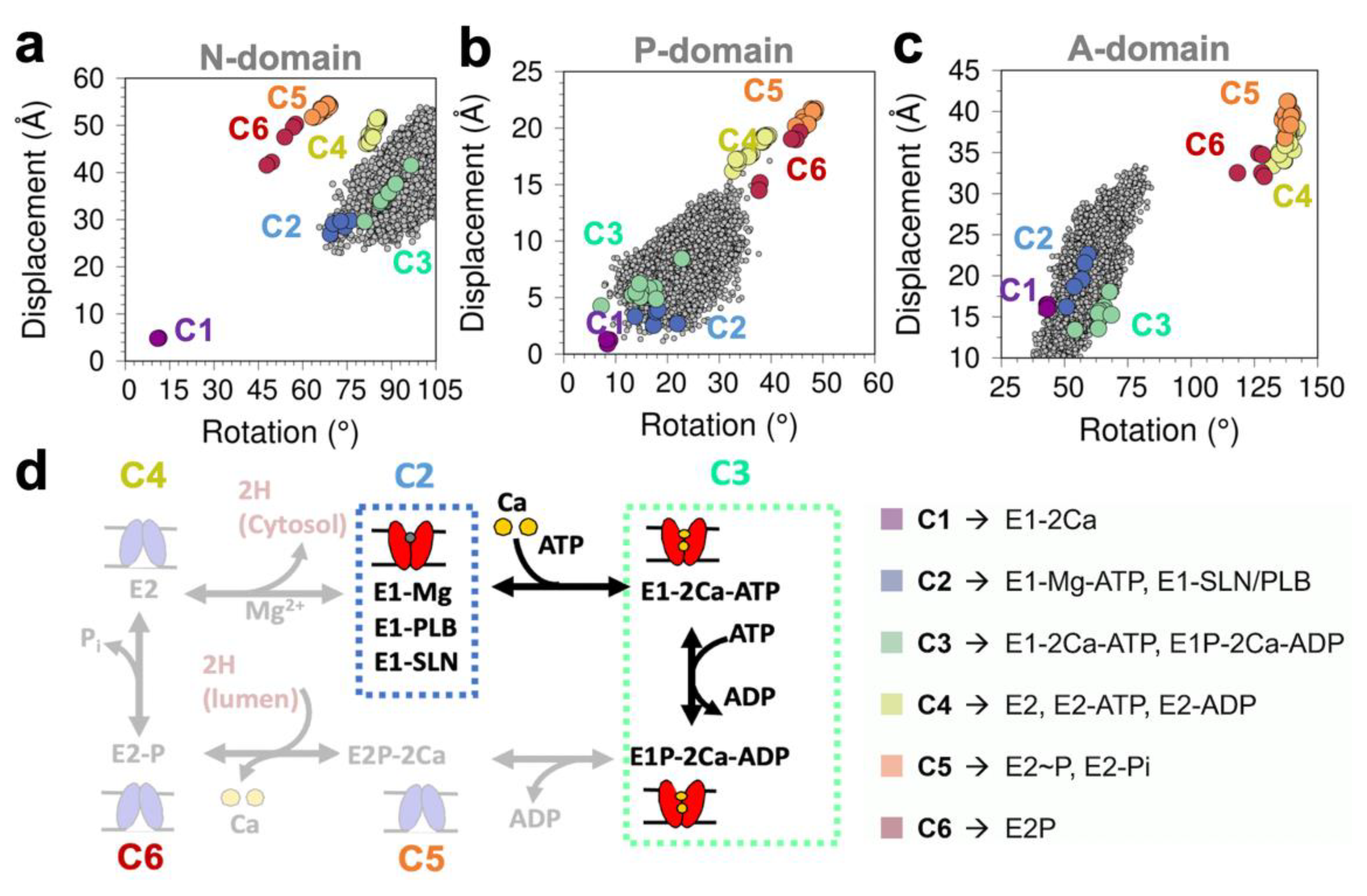Ijms 21 07261 g007 Ijms 21 07261 g007