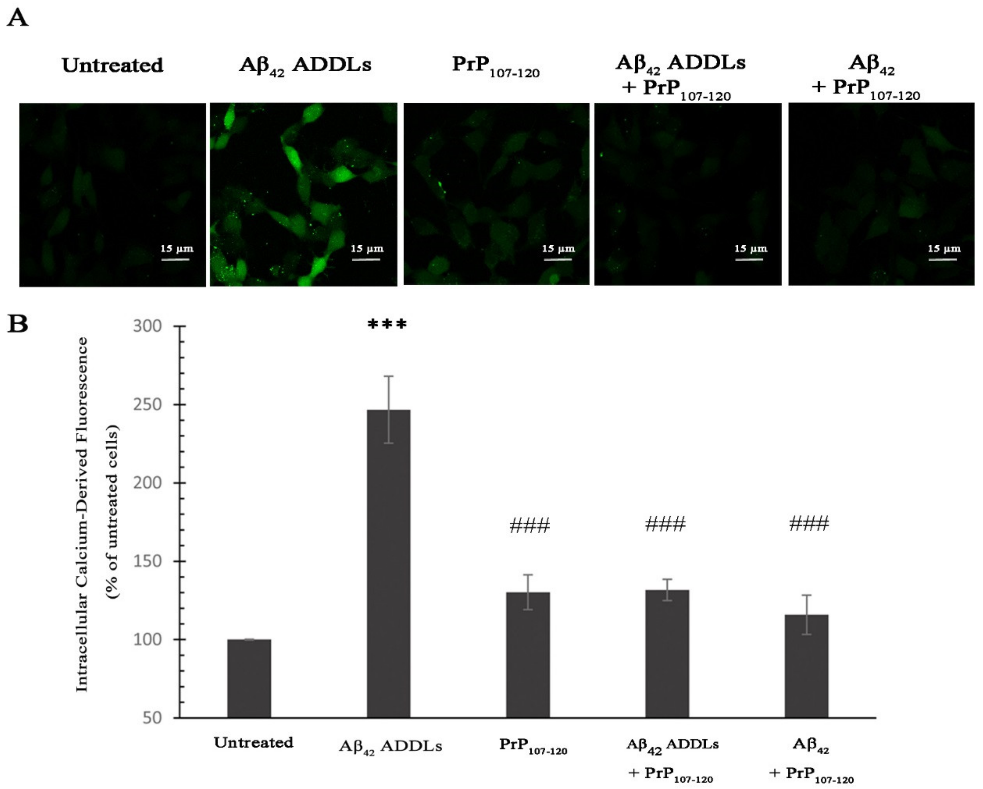 Ijms 21 07273 g004 Ijms 21 07273 g004
