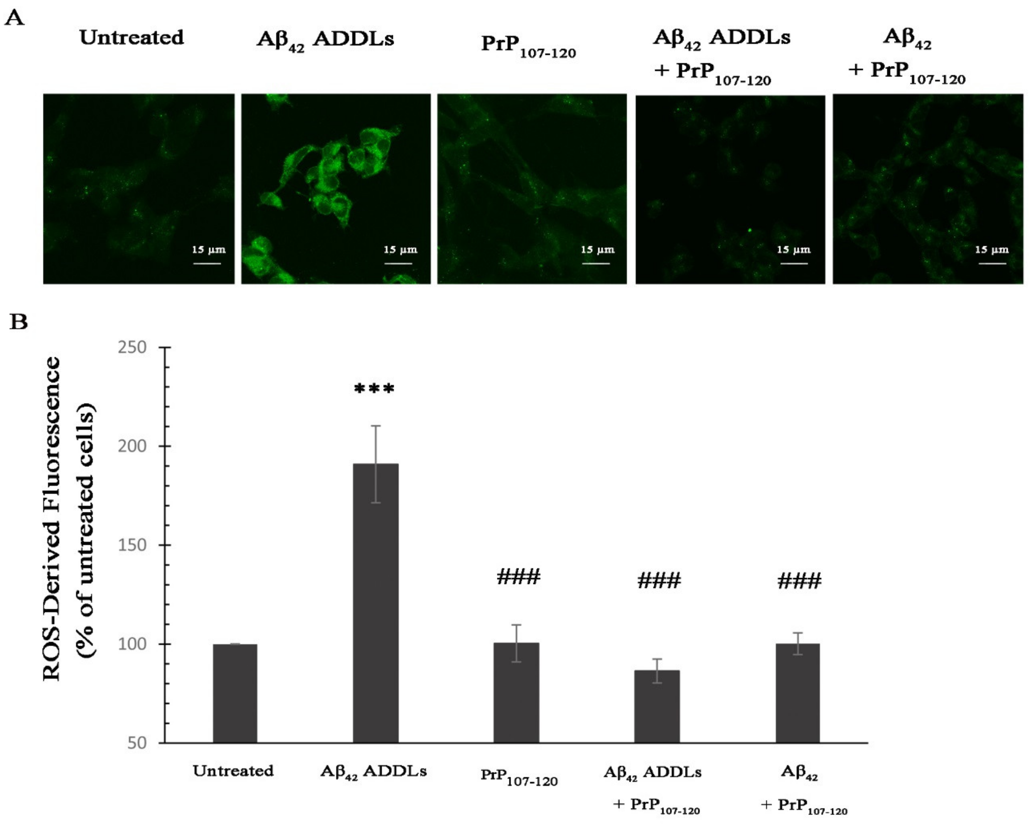 Ijms 21 07273 g005 Ijms 21 07273 g005