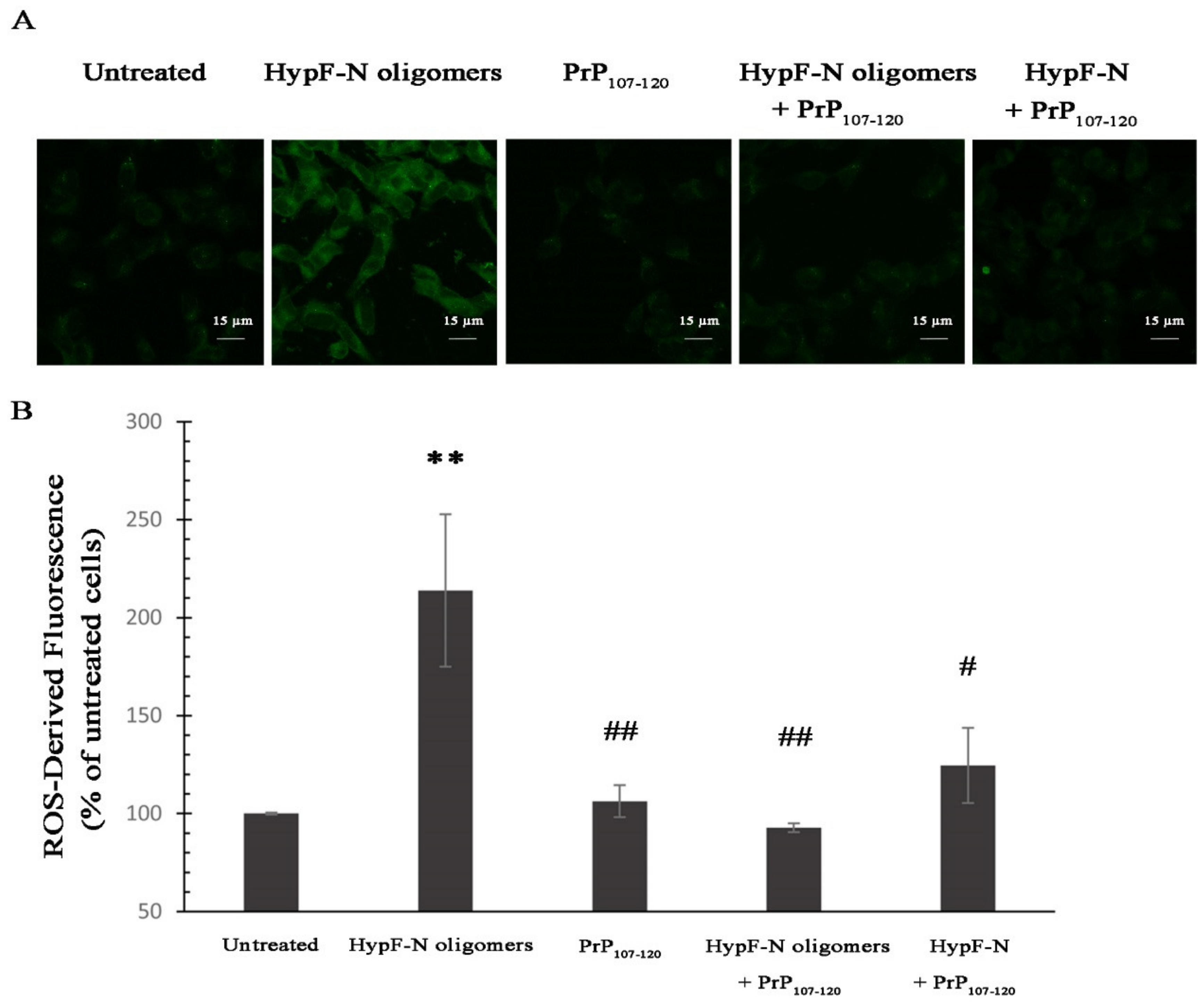 Ijms 21 07273 g006 Ijms 21 07273 g006