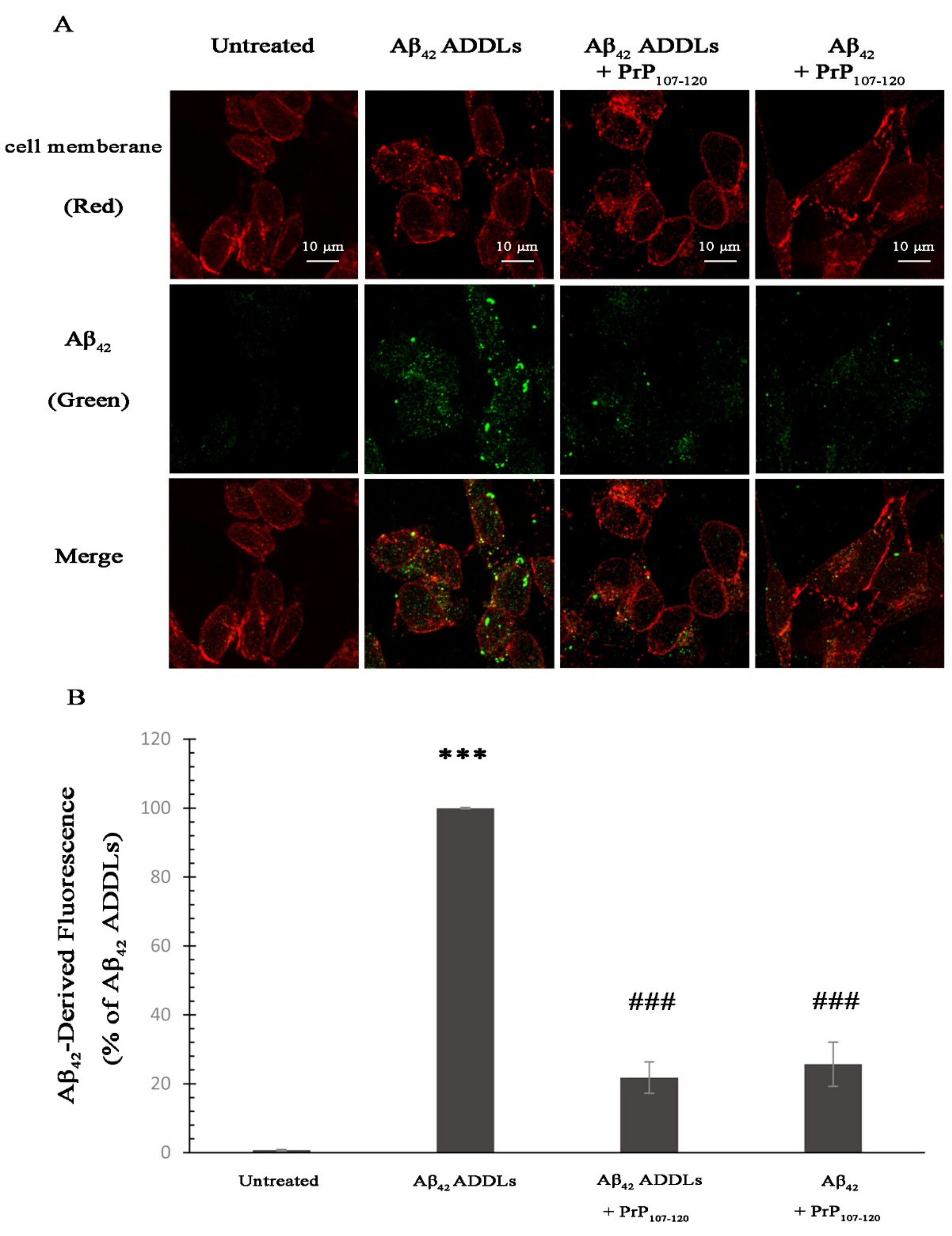 Ijms 21 07273 g007 Ijms 21 07273 g007