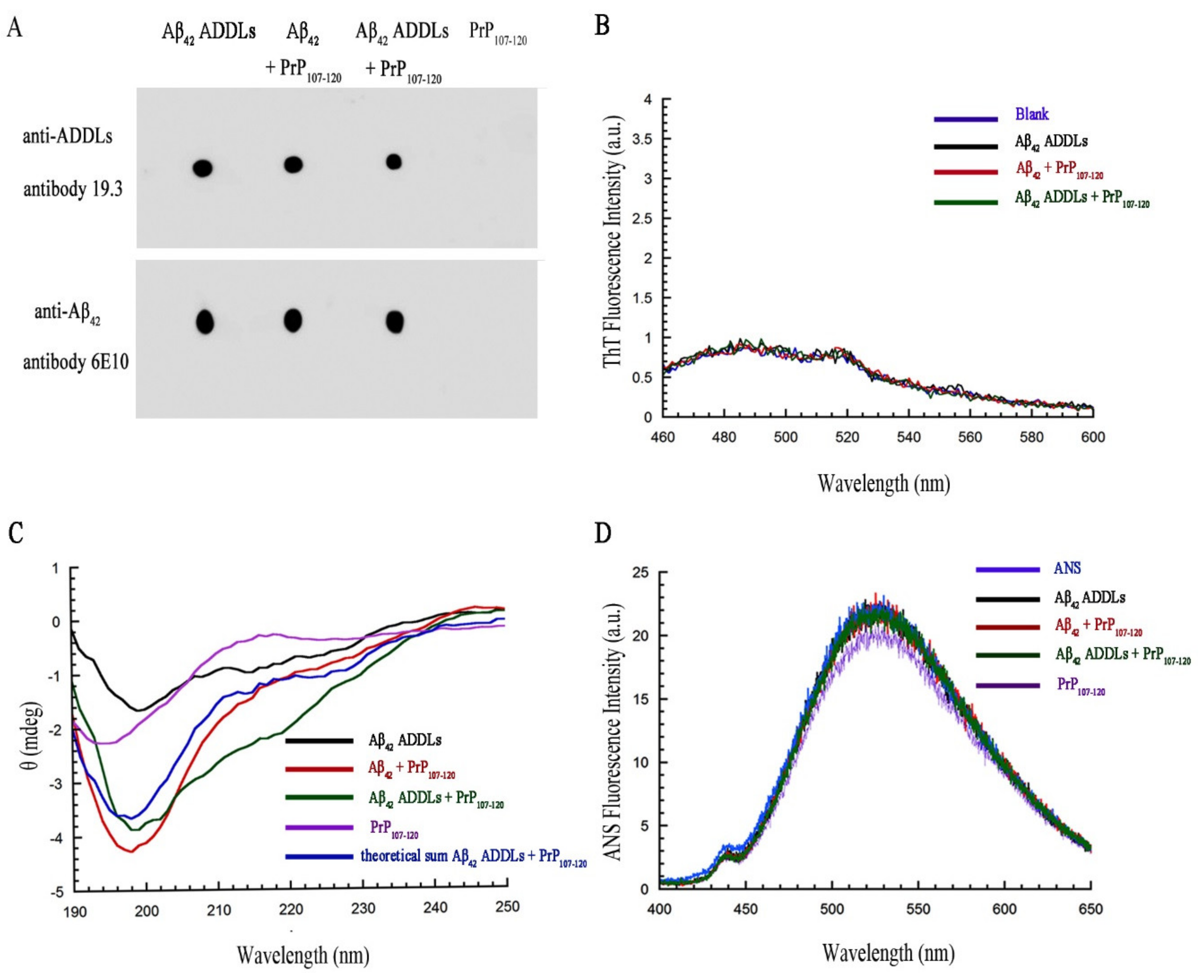 Ijms 21 07273 g008 Ijms 21 07273 g008