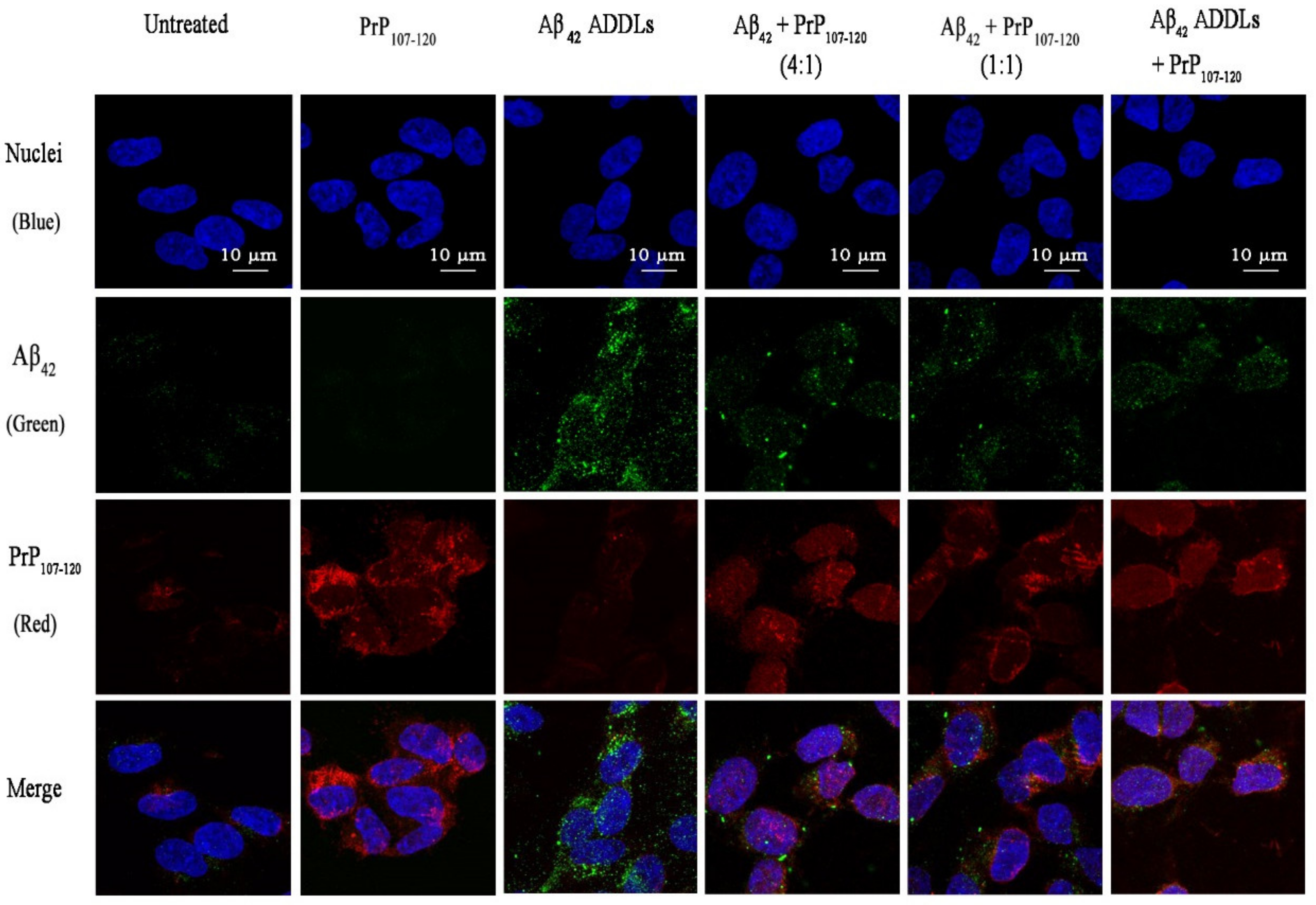 Ijms 21 07273 g009 Ijms 21 07273 g009