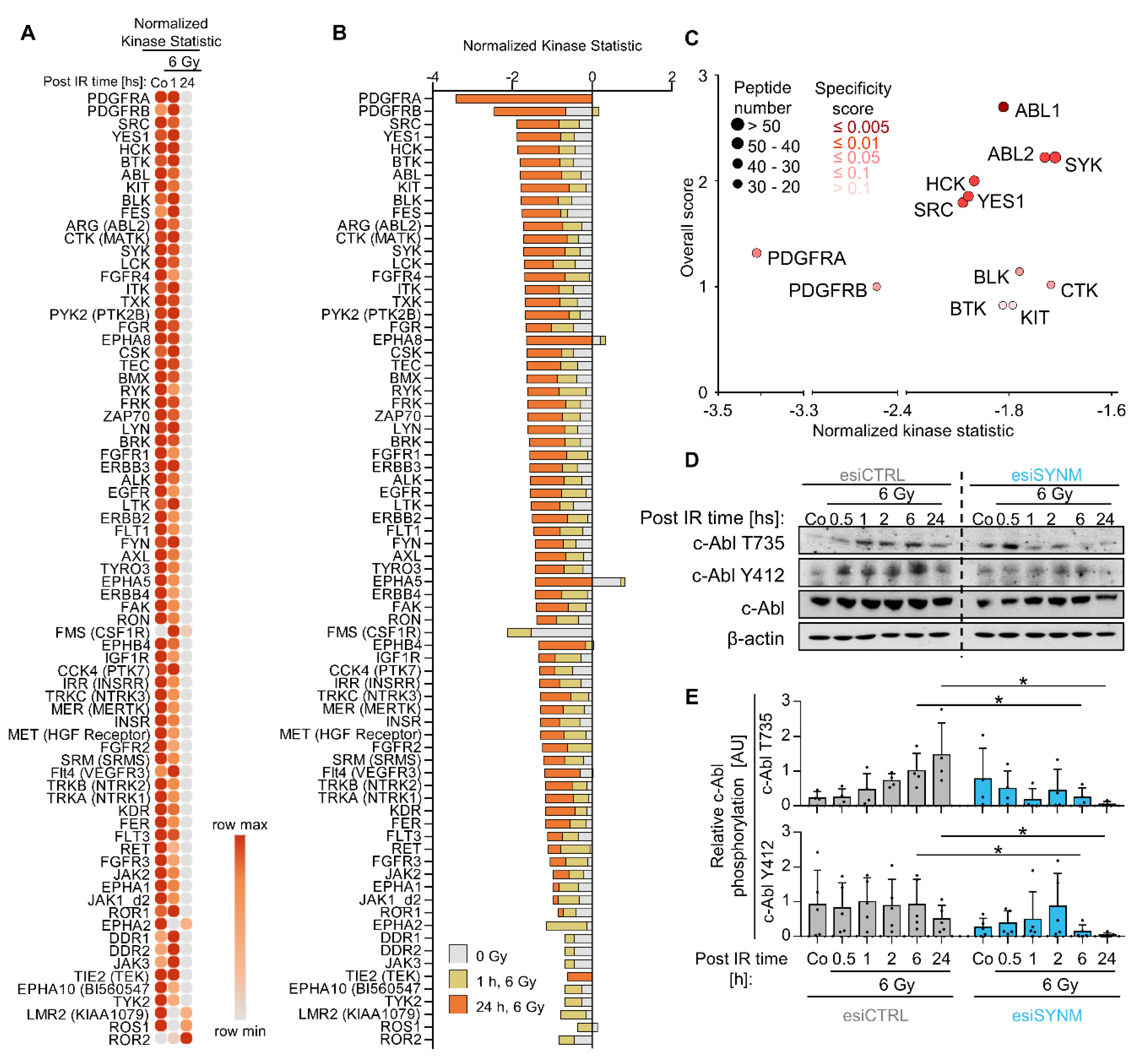 Ijms 21 07277 g003 Ijms 21 07277 g003