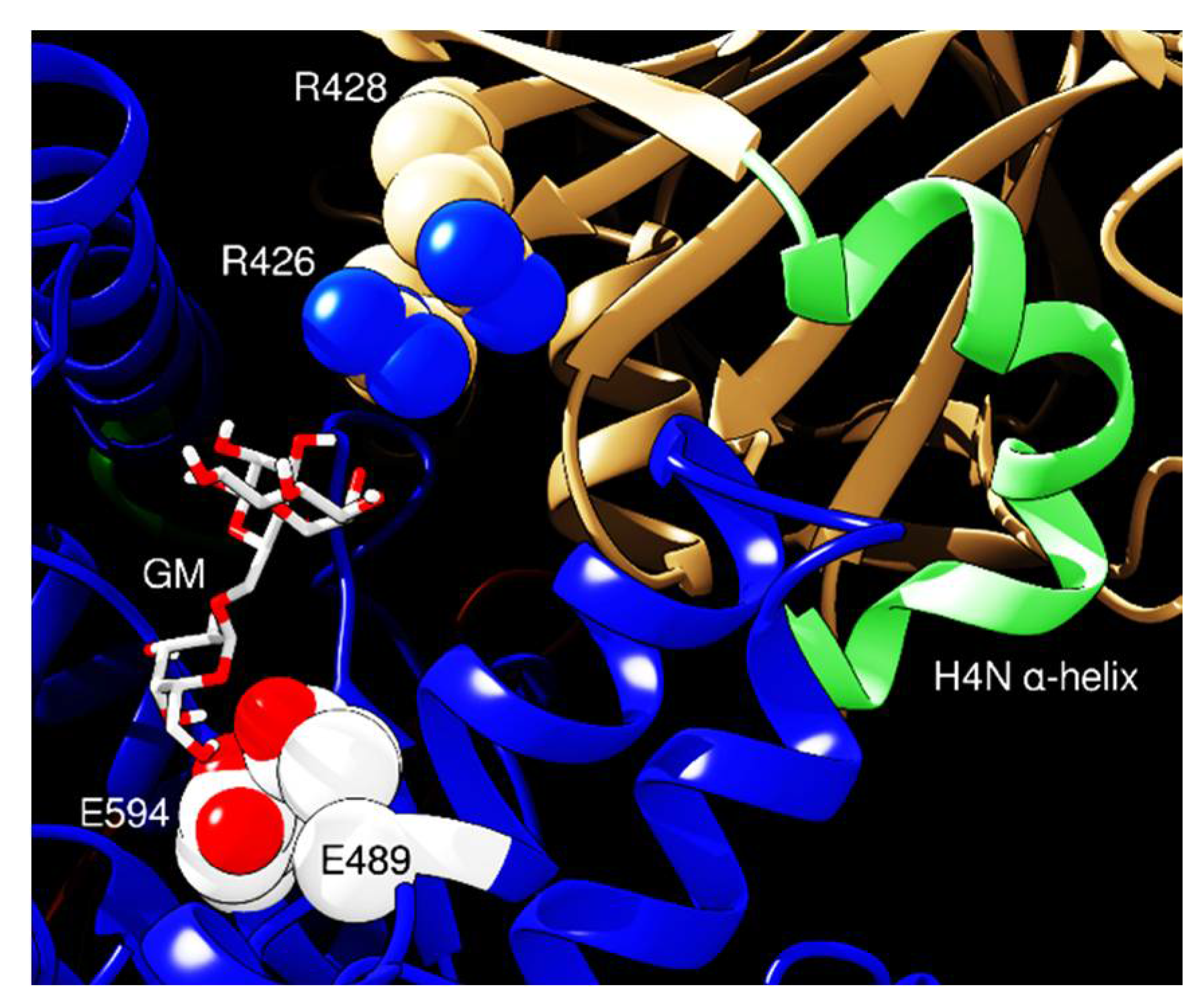 Ijms 21 07305 g007 Ijms 21 07305 g007
