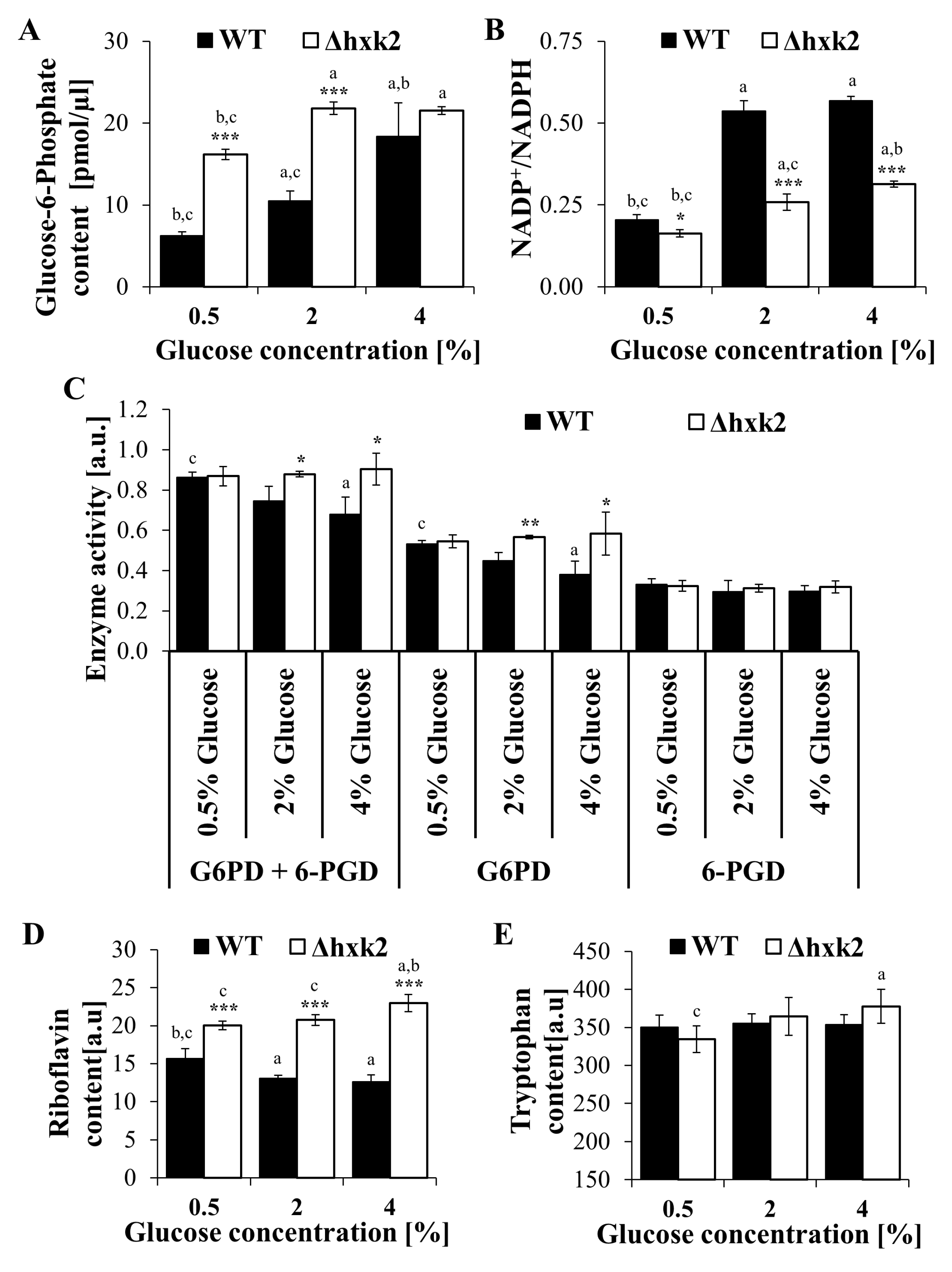 Ijms 21 07313 g006 Ijms 21 07313 g006