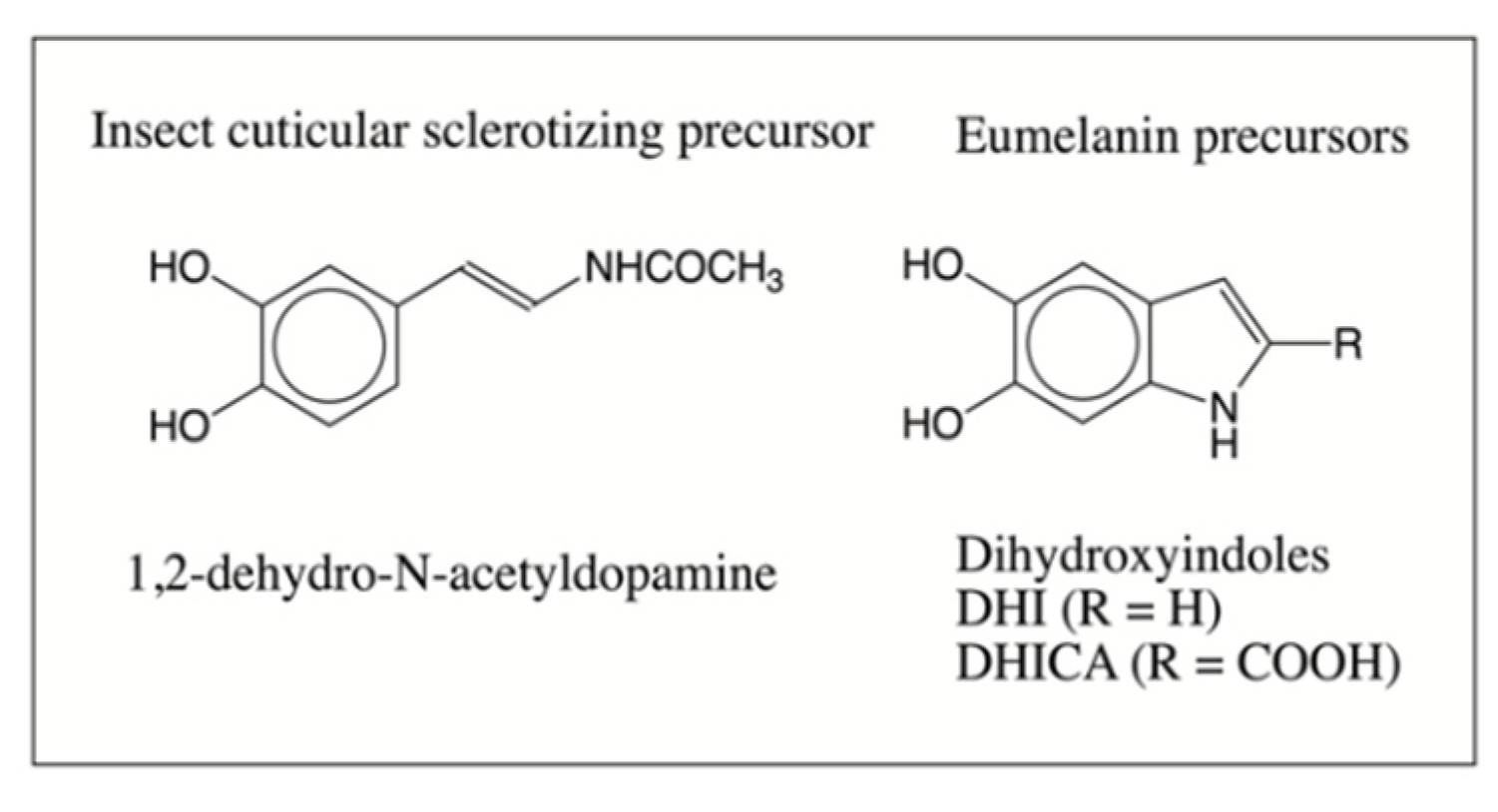 Ijms 21 07321 g002 Ijms 21 07321 g002