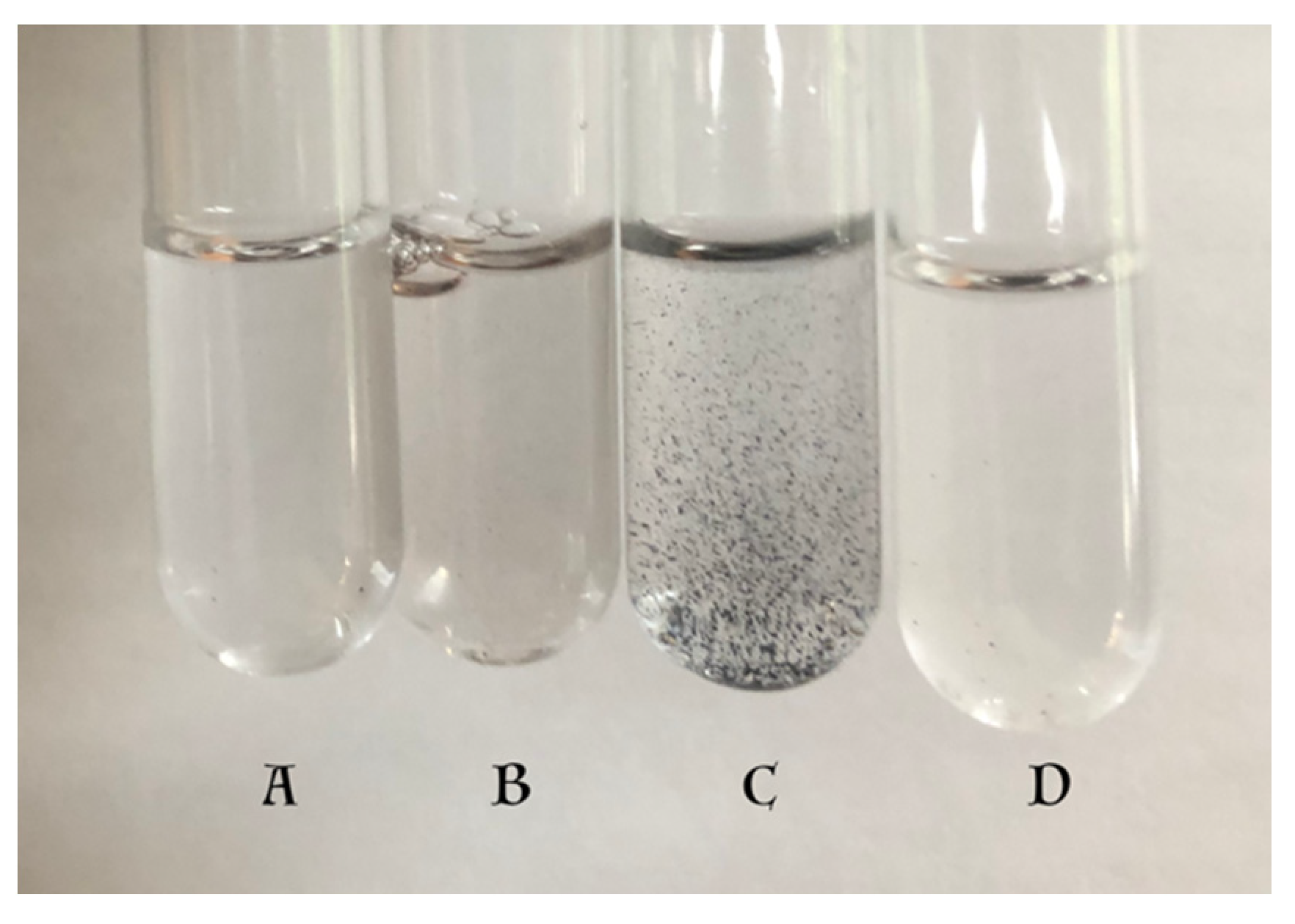 Ijms 21 07321 g004 Ijms 21 07321 g004