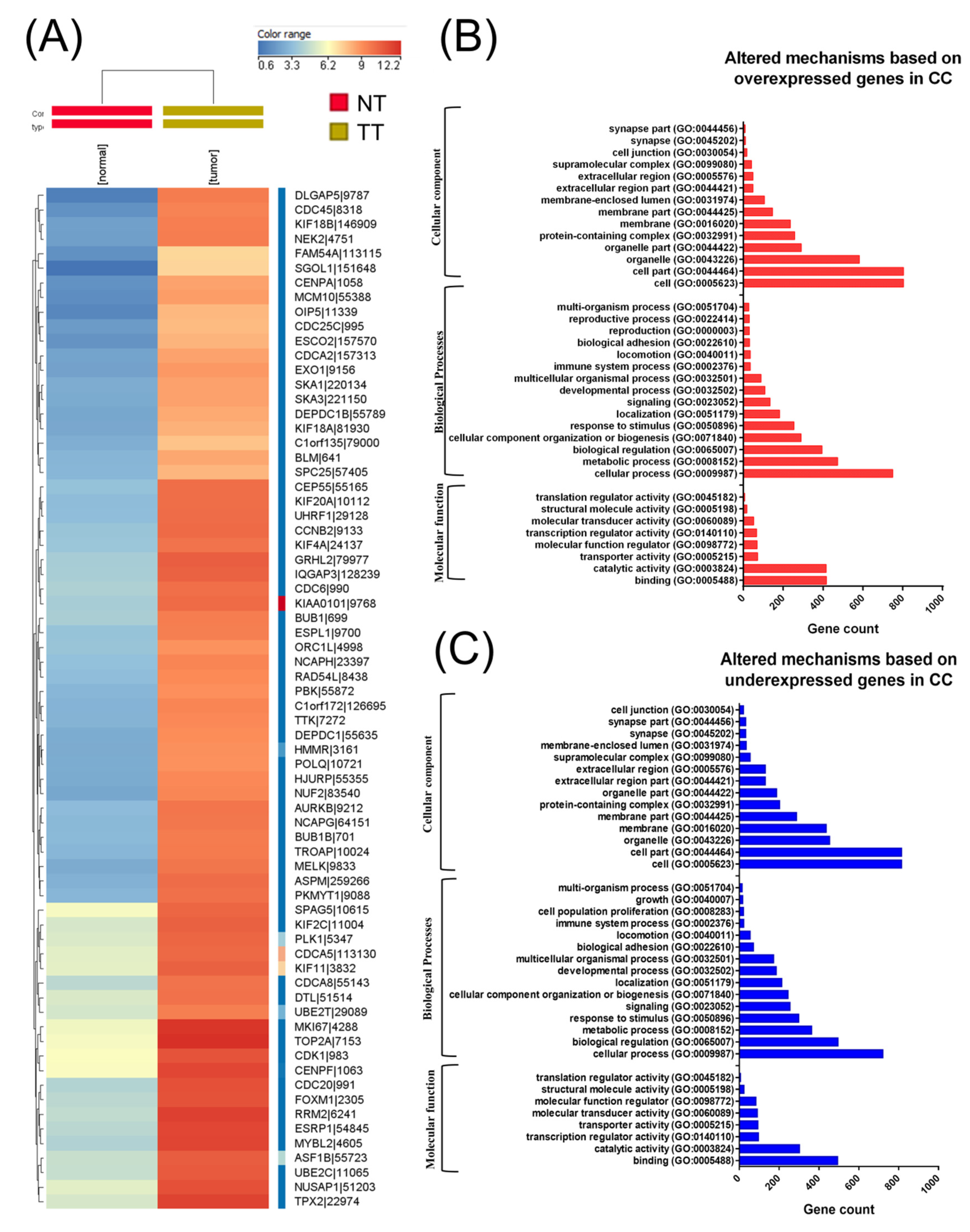 Ijms 21 07323 g001 Ijms 21 07323 g001