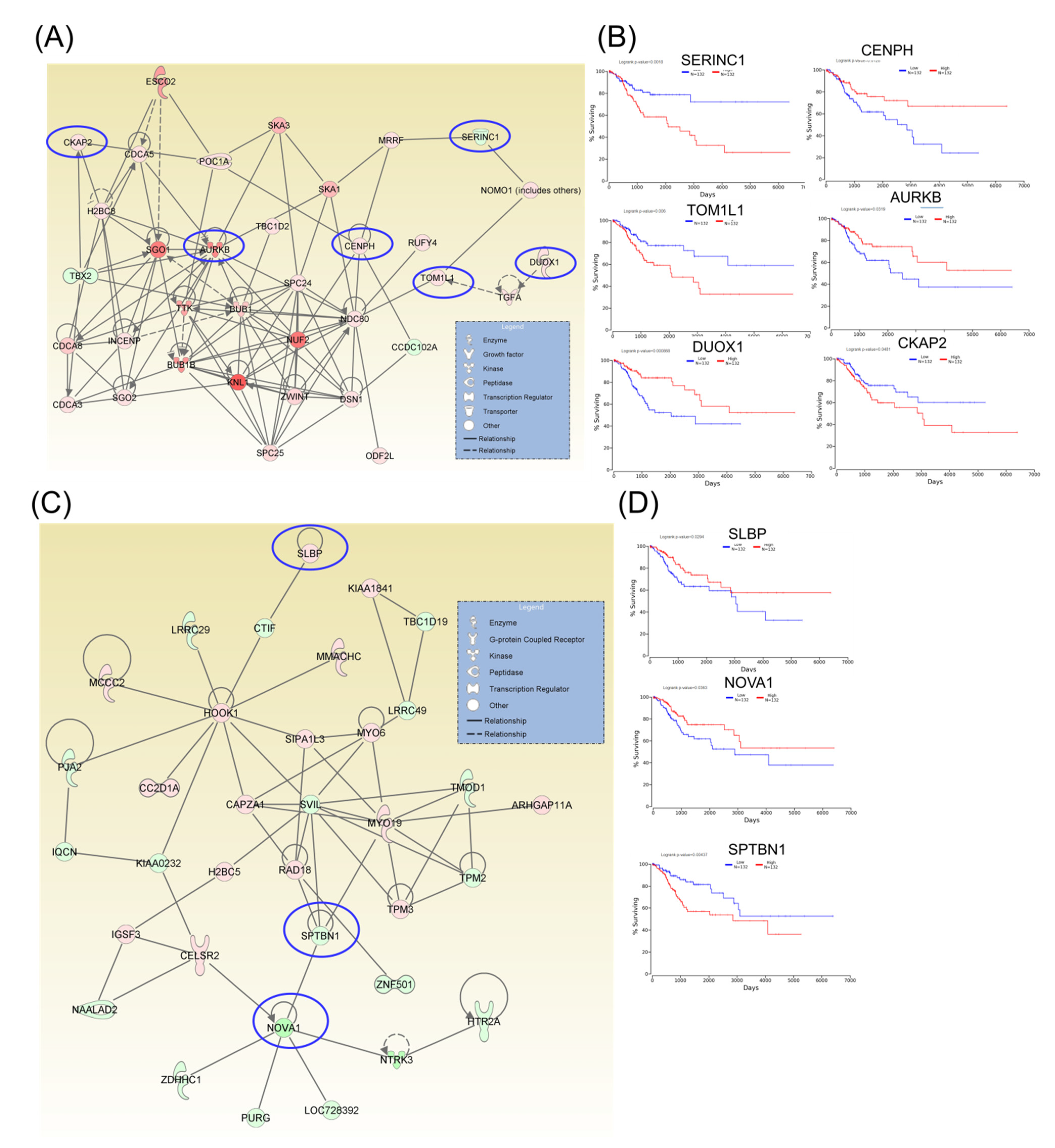 Ijms 21 07323 g003 Ijms 21 07323 g003