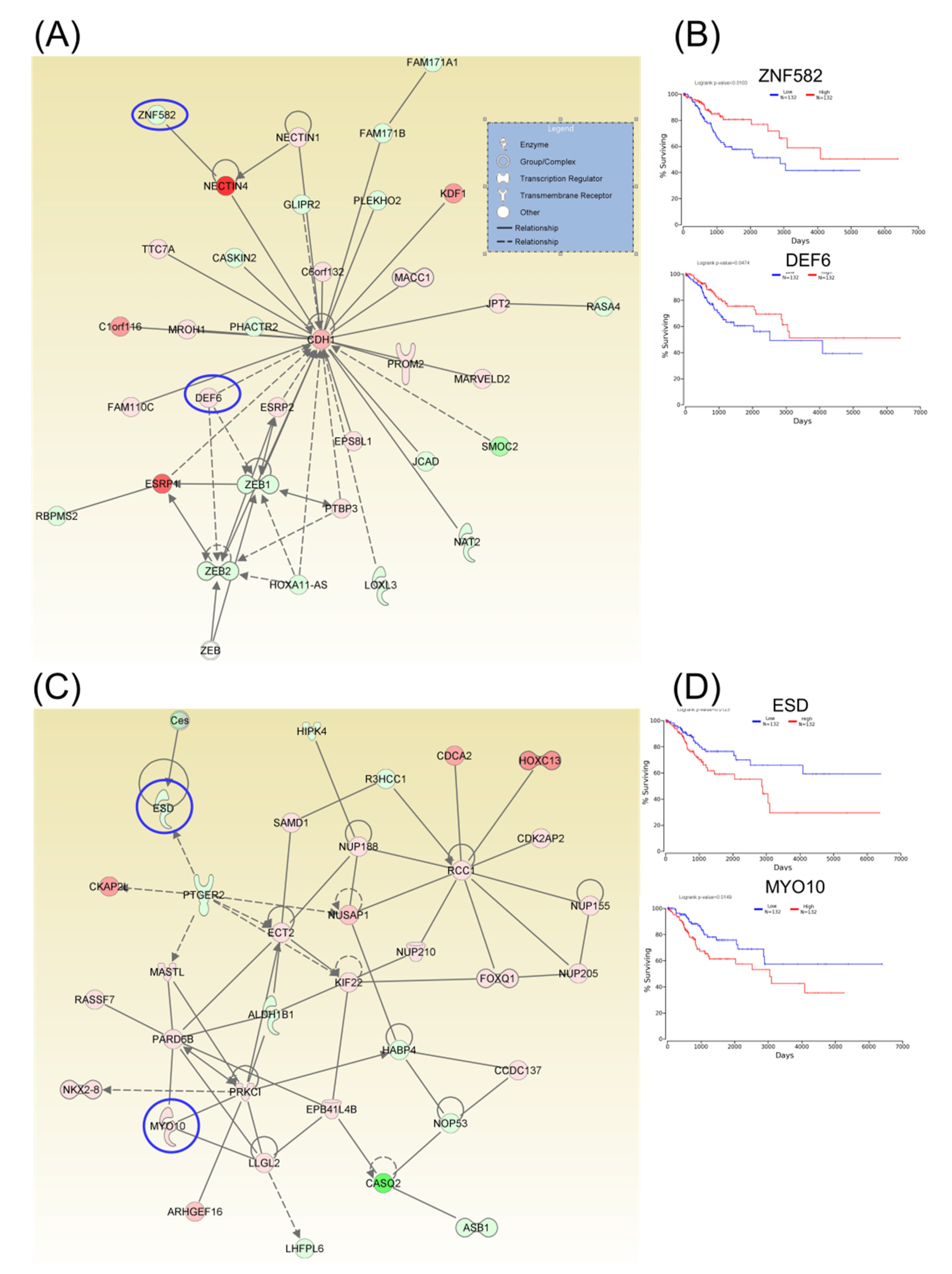 Ijms 21 07323 g004 Ijms 21 07323 g004