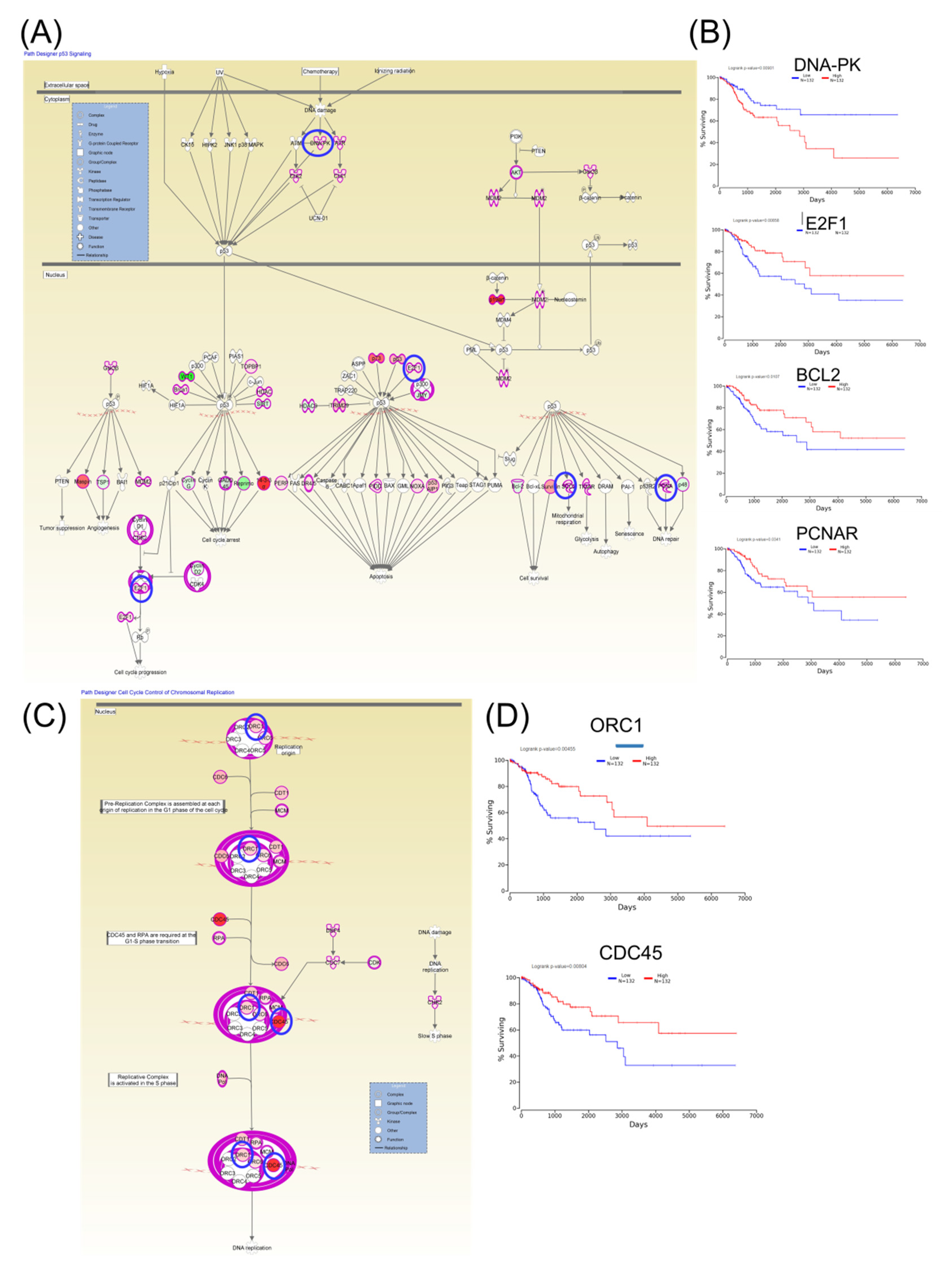 Ijms 21 07323 g005 Ijms 21 07323 g005